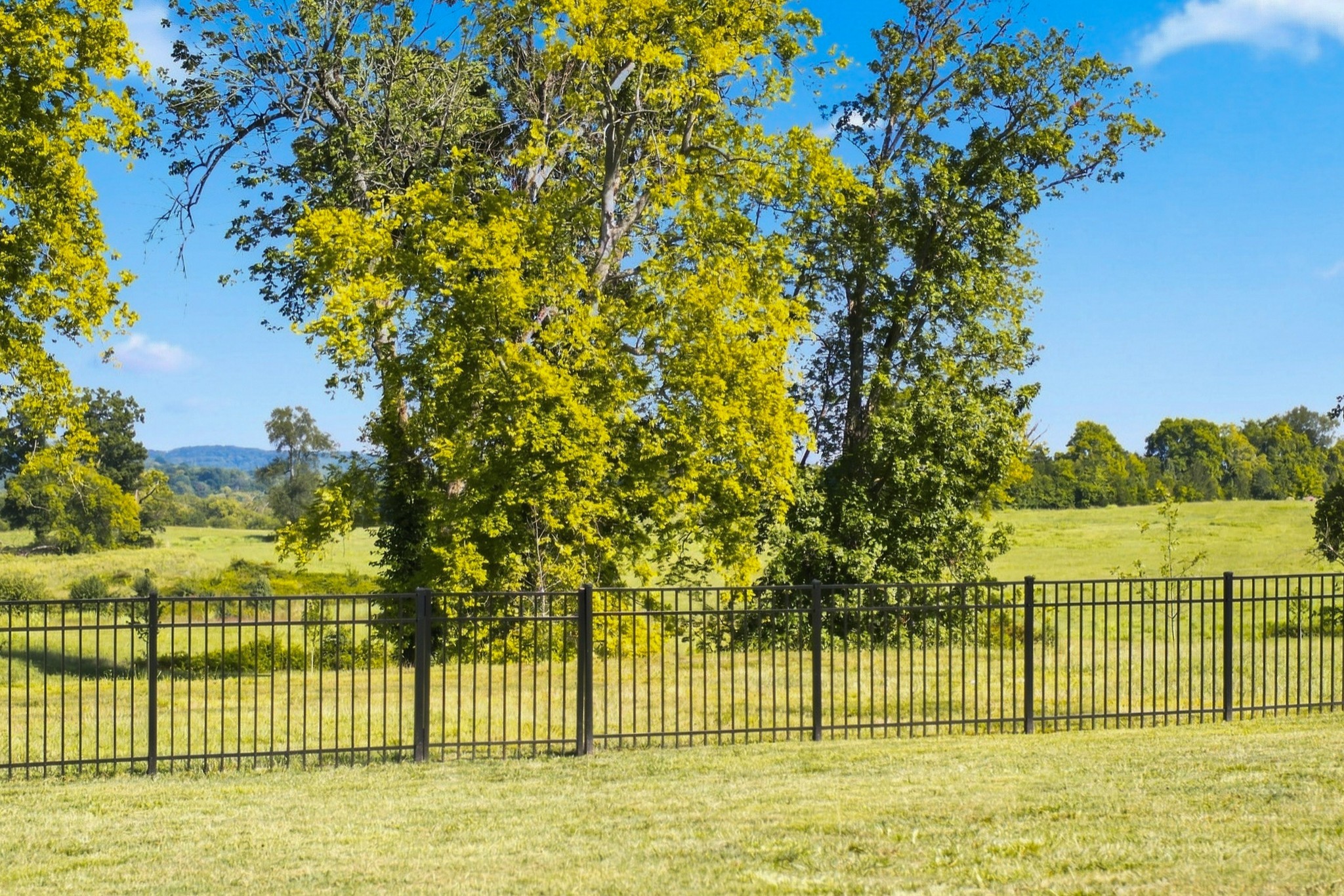  3287 Sassafras Ln, Thompsons Station, TN, 37179 - 物件實景