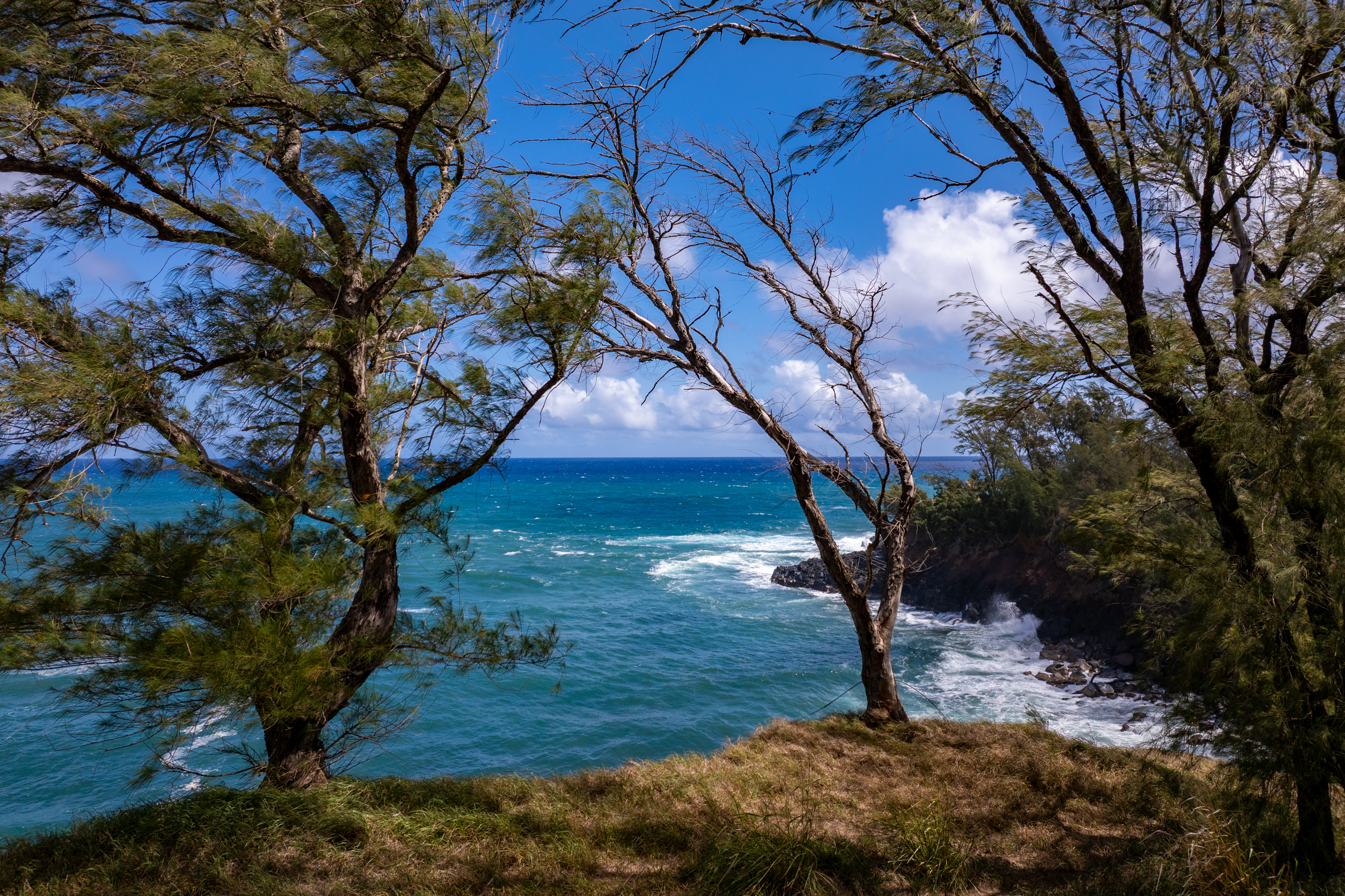  53-4223 Pratt Road, Kapaau, HI 96755 - 物件實景