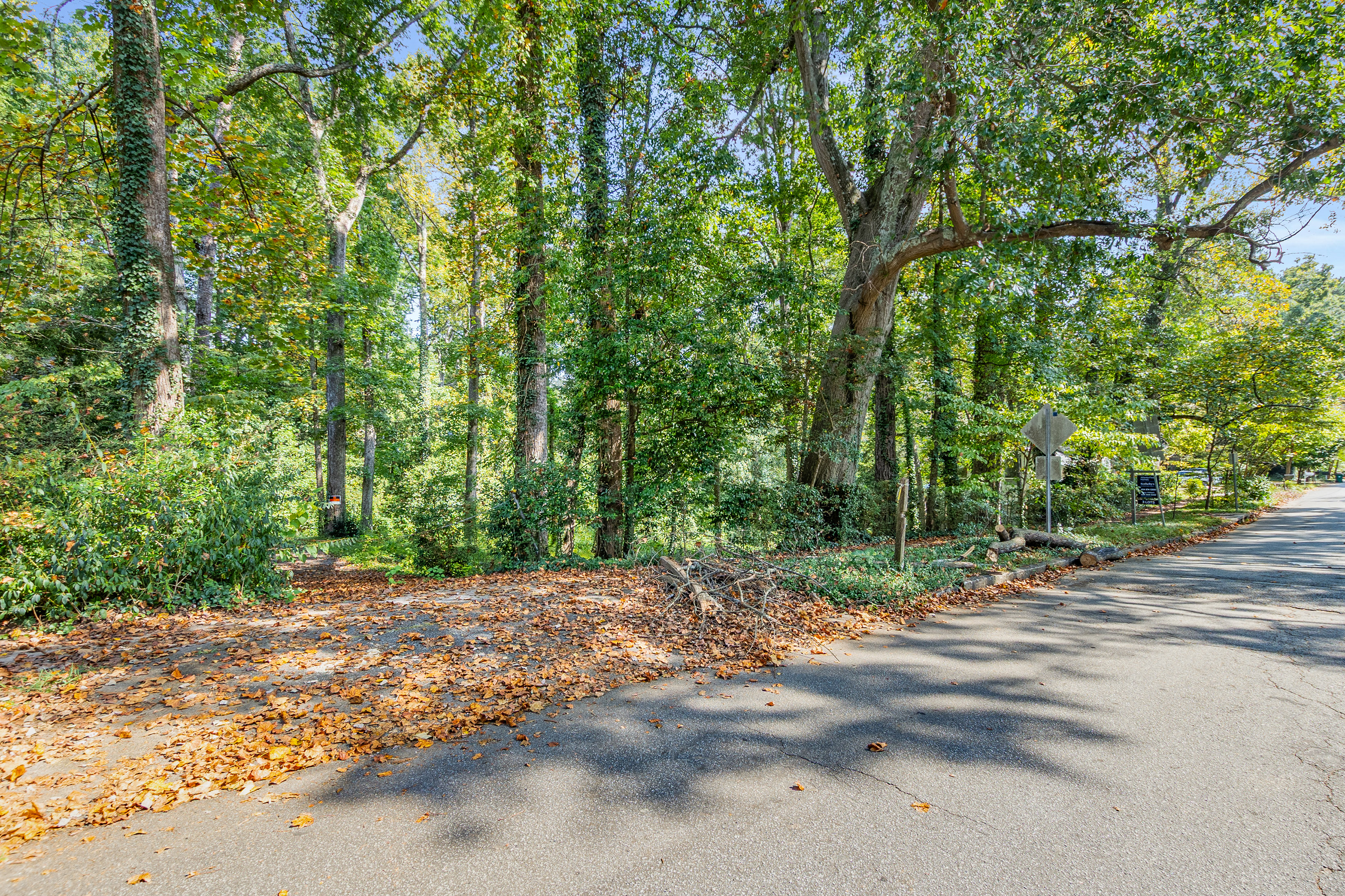  Three Contiguous Lots for New Construction in Historic Druid Hills - 物件實景