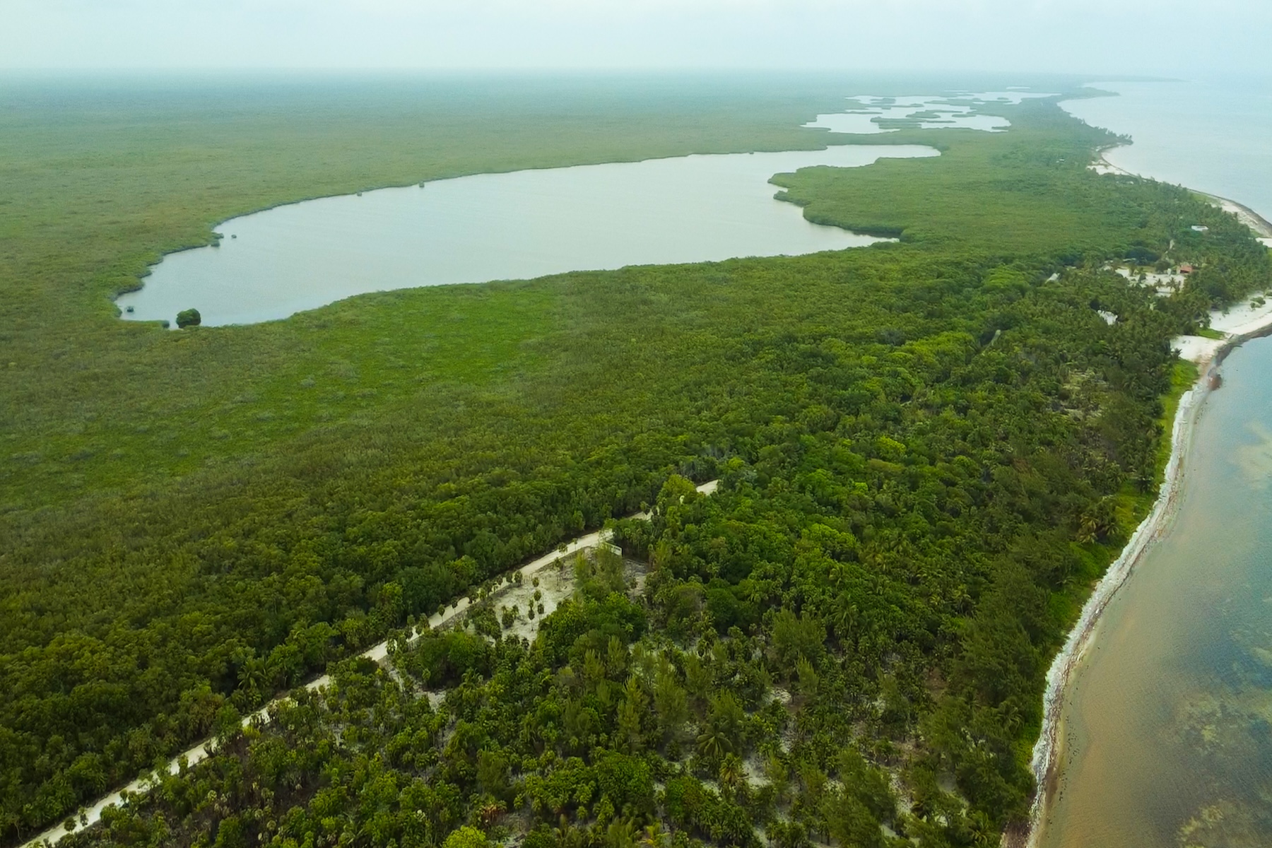  Viridiana Reserve: Beachfront Macro-lot in a Prime Location - 物件實景