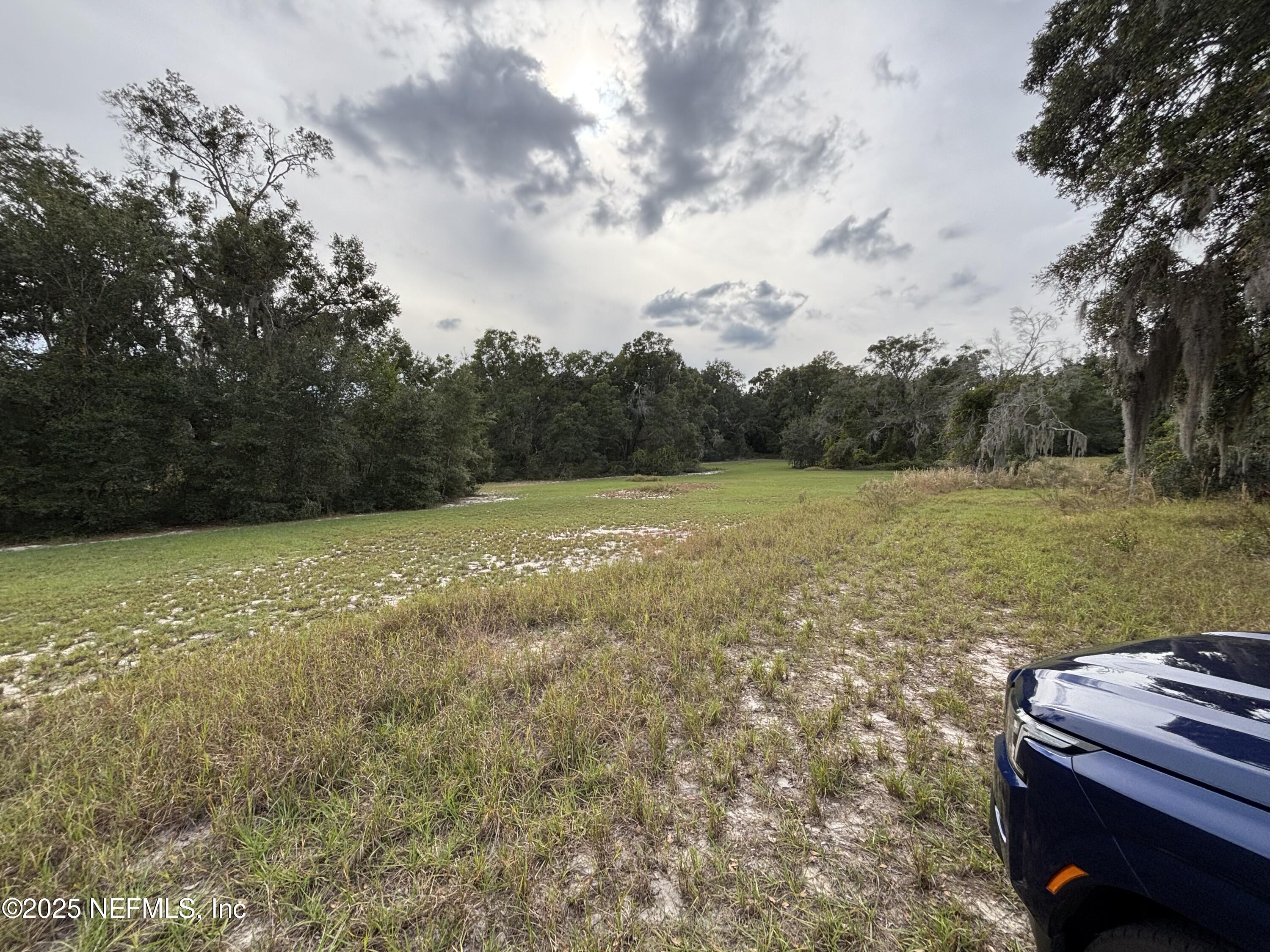 Apopka, Florida, 32712, United States, ,Land,For Sale,2002894