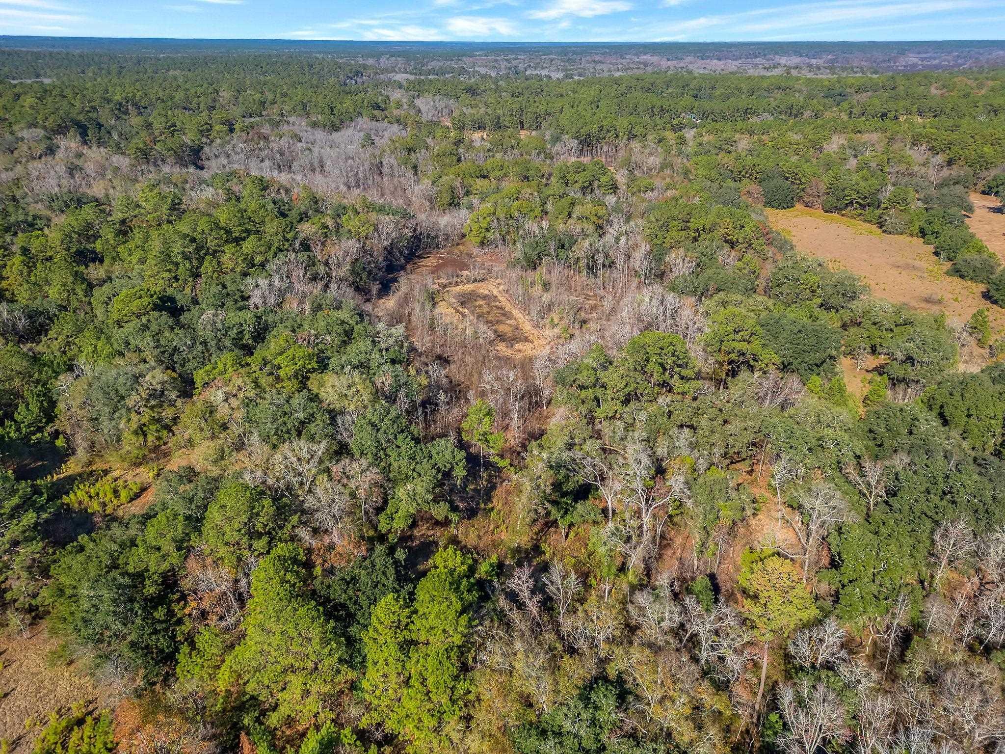 Tallahassee, Florida, 32312, United States, ,Land,For Sale,2003091