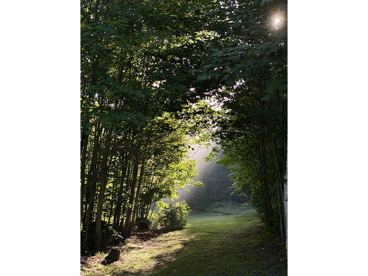 Moretown, Vermont, 05660, United States, 1 Bedroom Bedrooms, ,Residential,For Sale,1826788