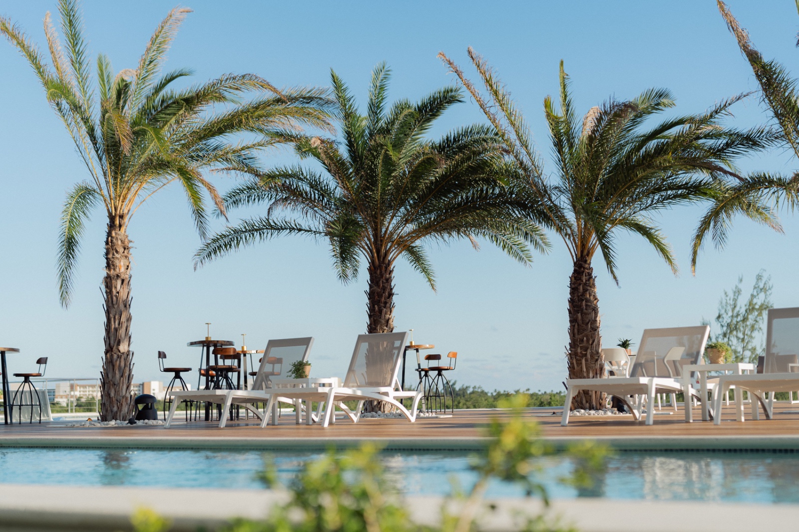 Cap Cana, DO, 1 Bedroom Bedrooms, ,2 BathroomsBathrooms,Residential,For Sale,1759996