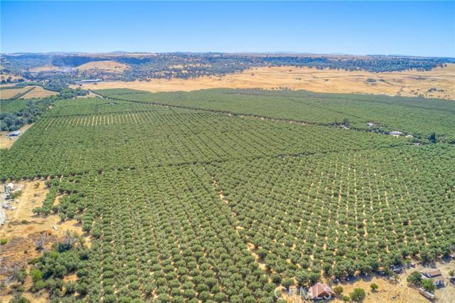 Oroville, California, 95965, United States, ,Land,For Sale,1978815