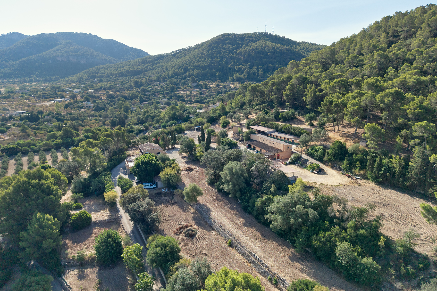  Country Estate with Equestrian Facilities in Port Andratx - 物件實景