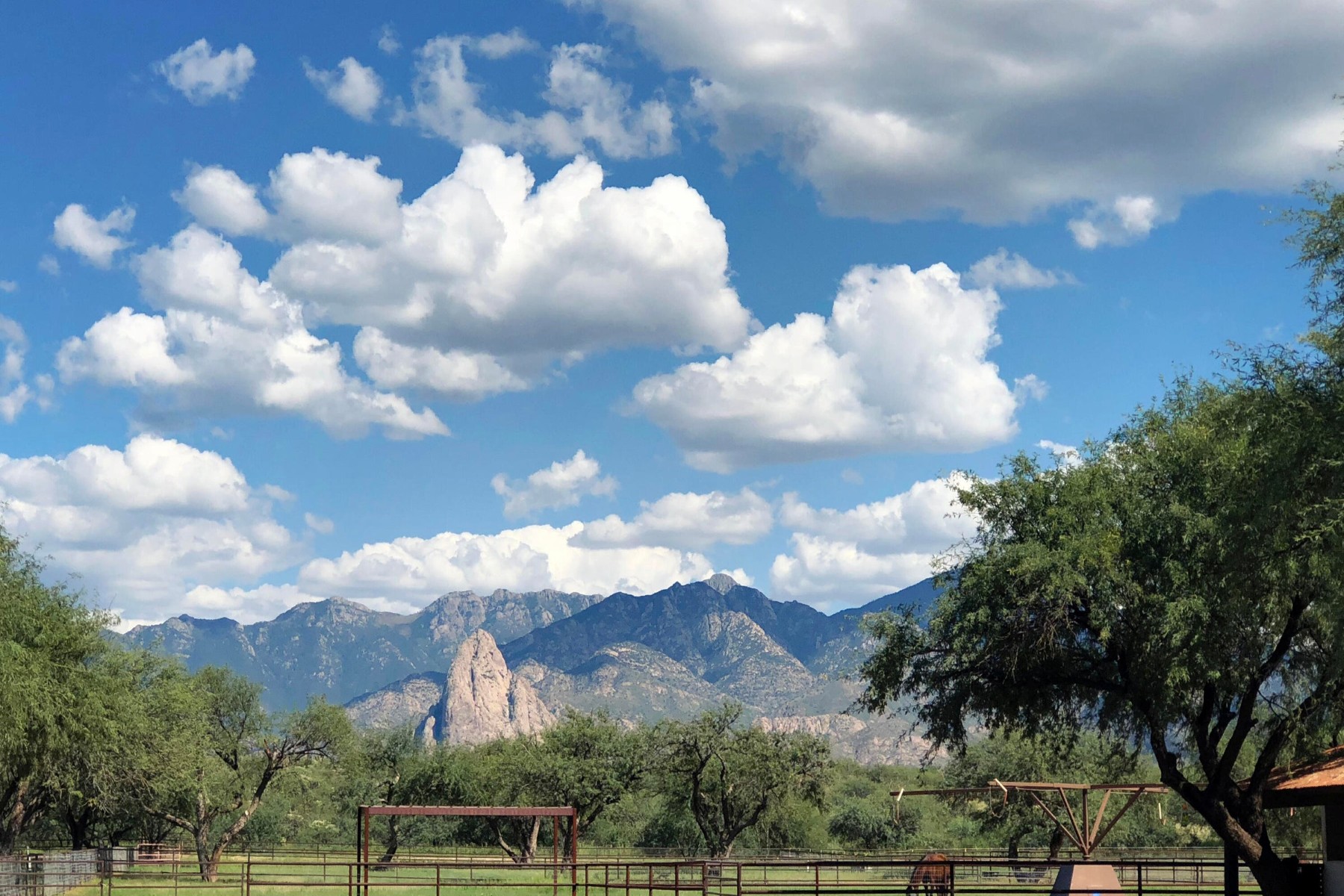  3155 W Elephant Head Road¦Amado, AZ - 物件實景