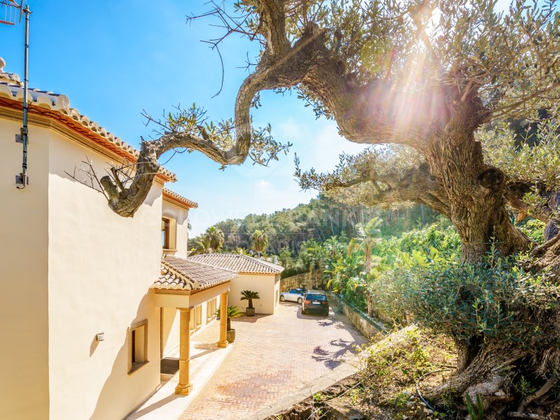 Alicante, J?vea / X?bia, Monta?ar-El Arenal Alican, Jávea / Xàbia, Comunidad Valenciana, ES, 4 Bedrooms Bedrooms, ,4 BathroomsBathrooms,Residential,For Sale,Alicante, J?vea / X?bia, Monta?ar-El Arenal Alican,1511138