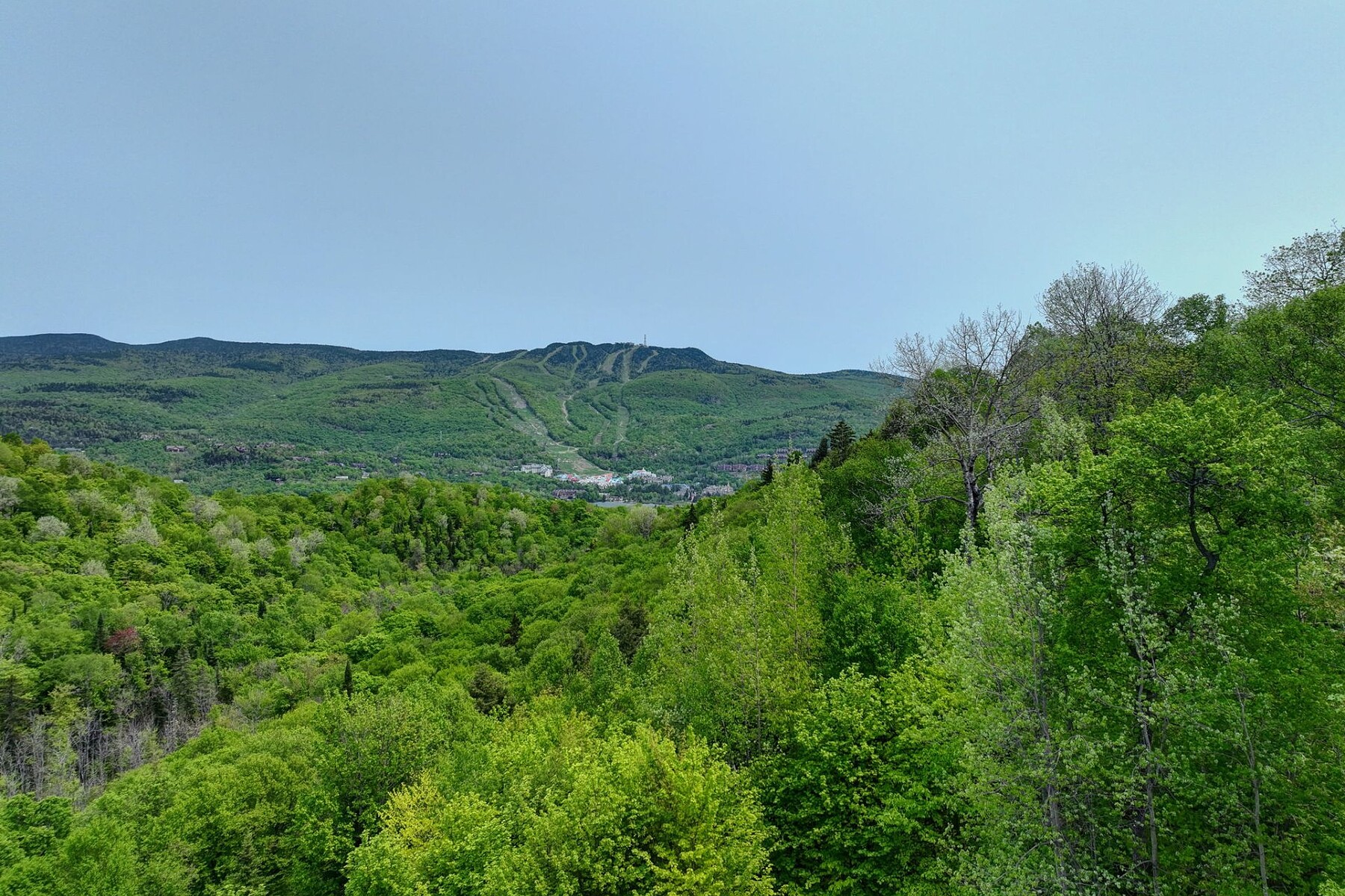  Mont-Tremblant, Laurentides - 物件實景
