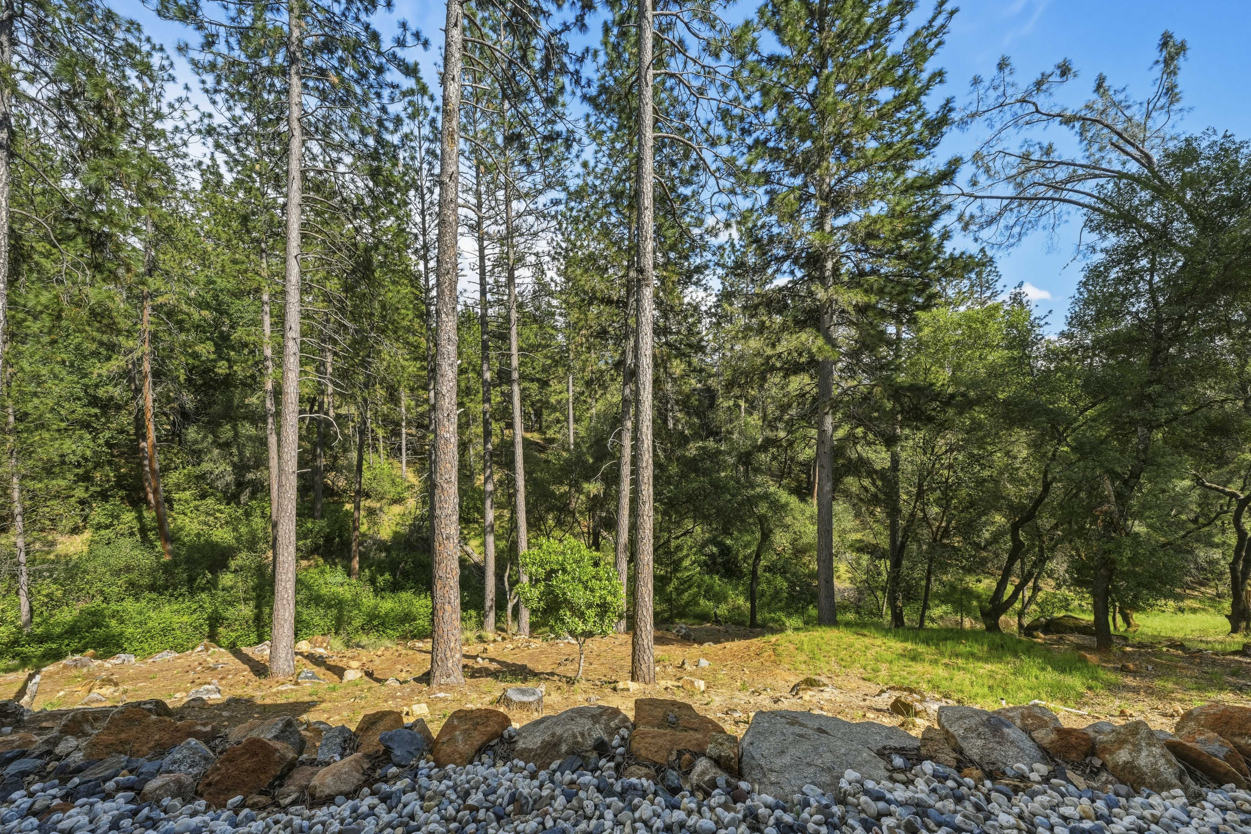  1455 Lodge View Drive, Meadow Vista, CA 95722 - 物件實景