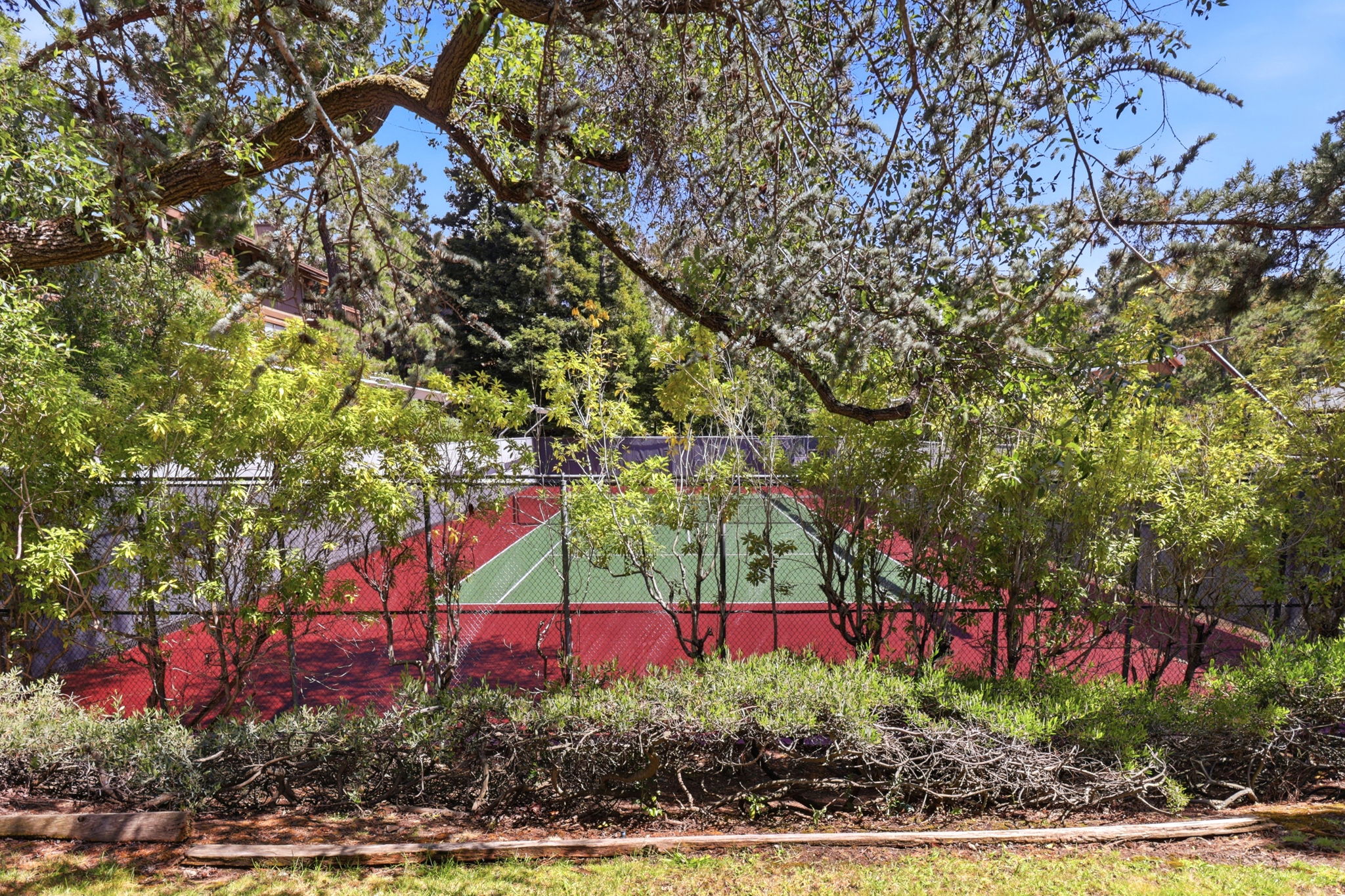  3336 Brittan Ave Unit 2 - 物件實景