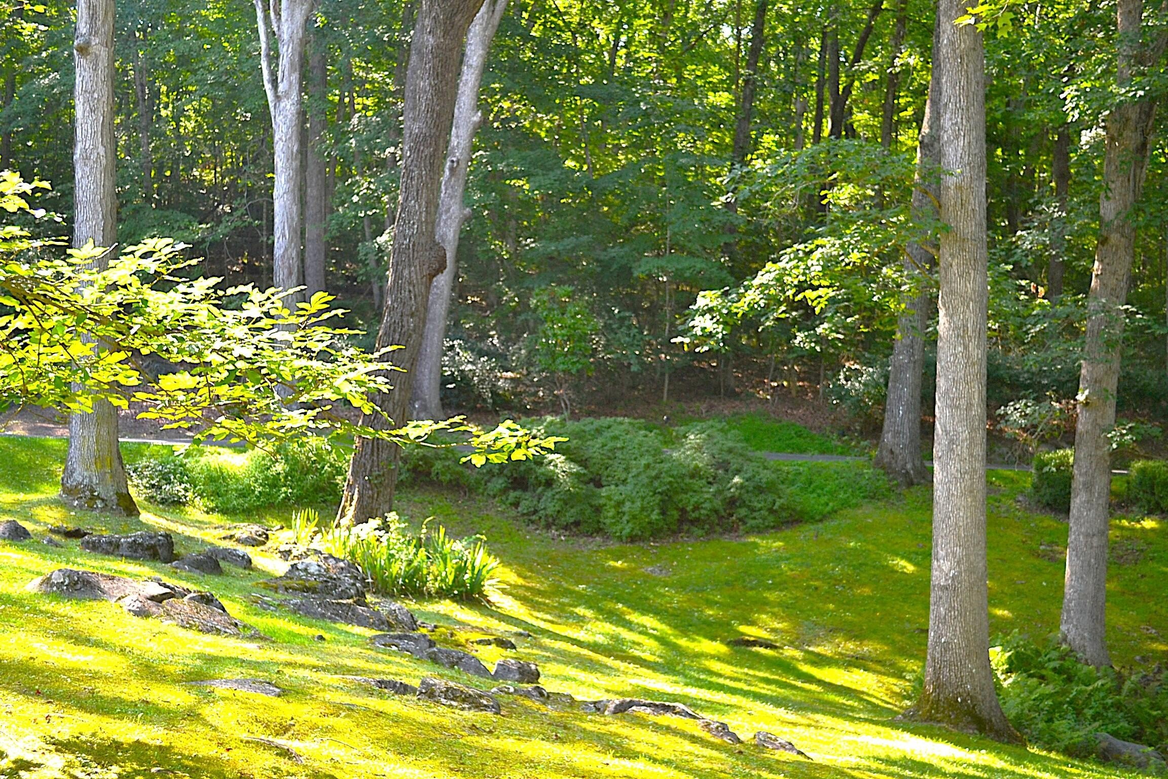 Lewisburg, West Virginia, 24901, United States, 6 Bedrooms Bedrooms, ,3 BathroomsBathrooms,Residential,For Sale,1940620