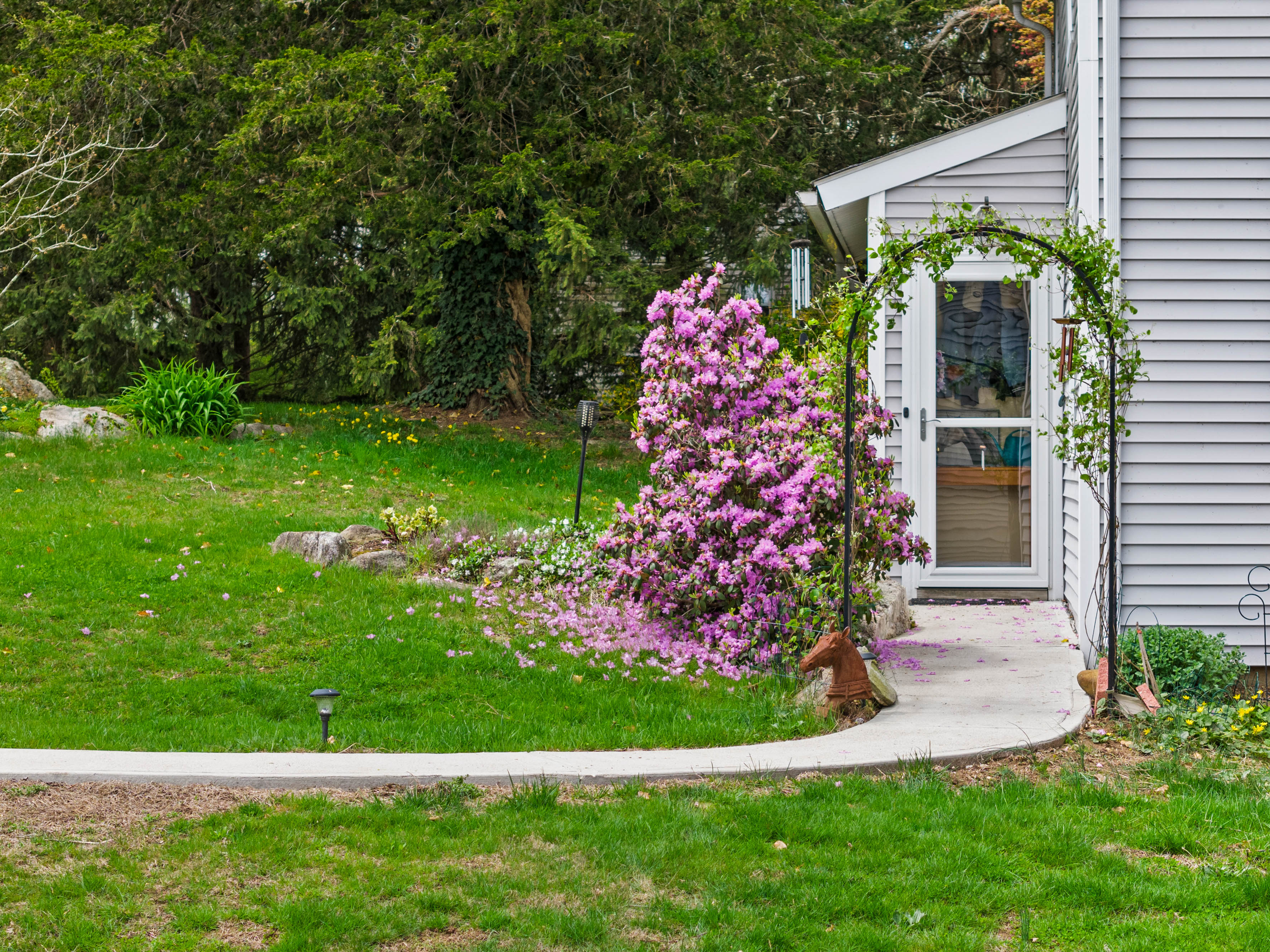  Cozy Sale Listing in Essex, CT - 物件實景