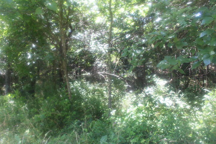 Polk, Missouri, 65727, United States, ,Land,For Sale,1980569