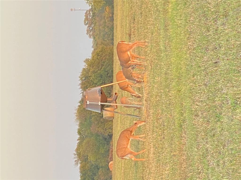 Goldsby, Oklahoma, 73093, United States, ,Land,For Sale,1976317