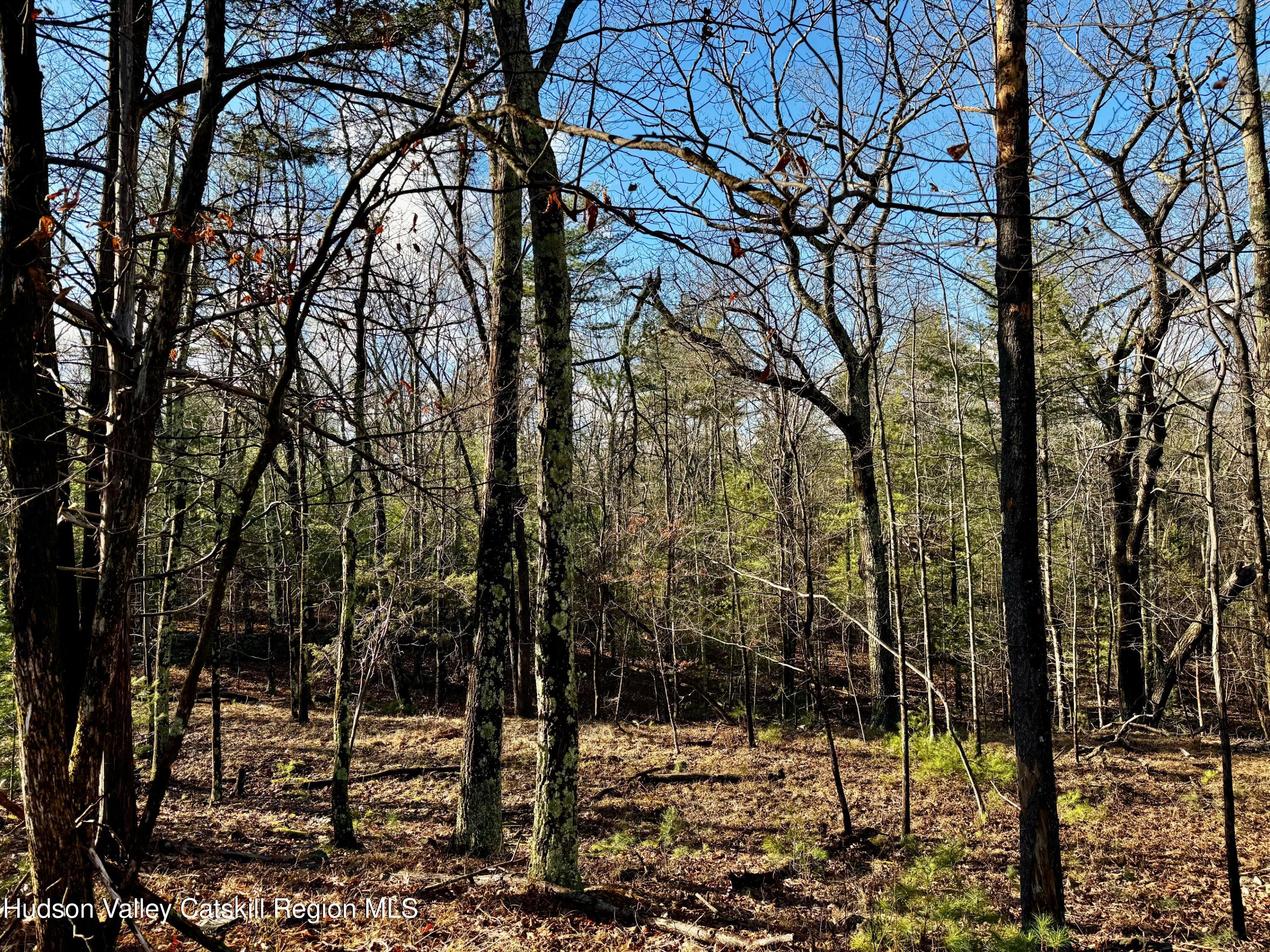 Hurley, New York, 12443, United States, ,Residential,For Sale,1947114