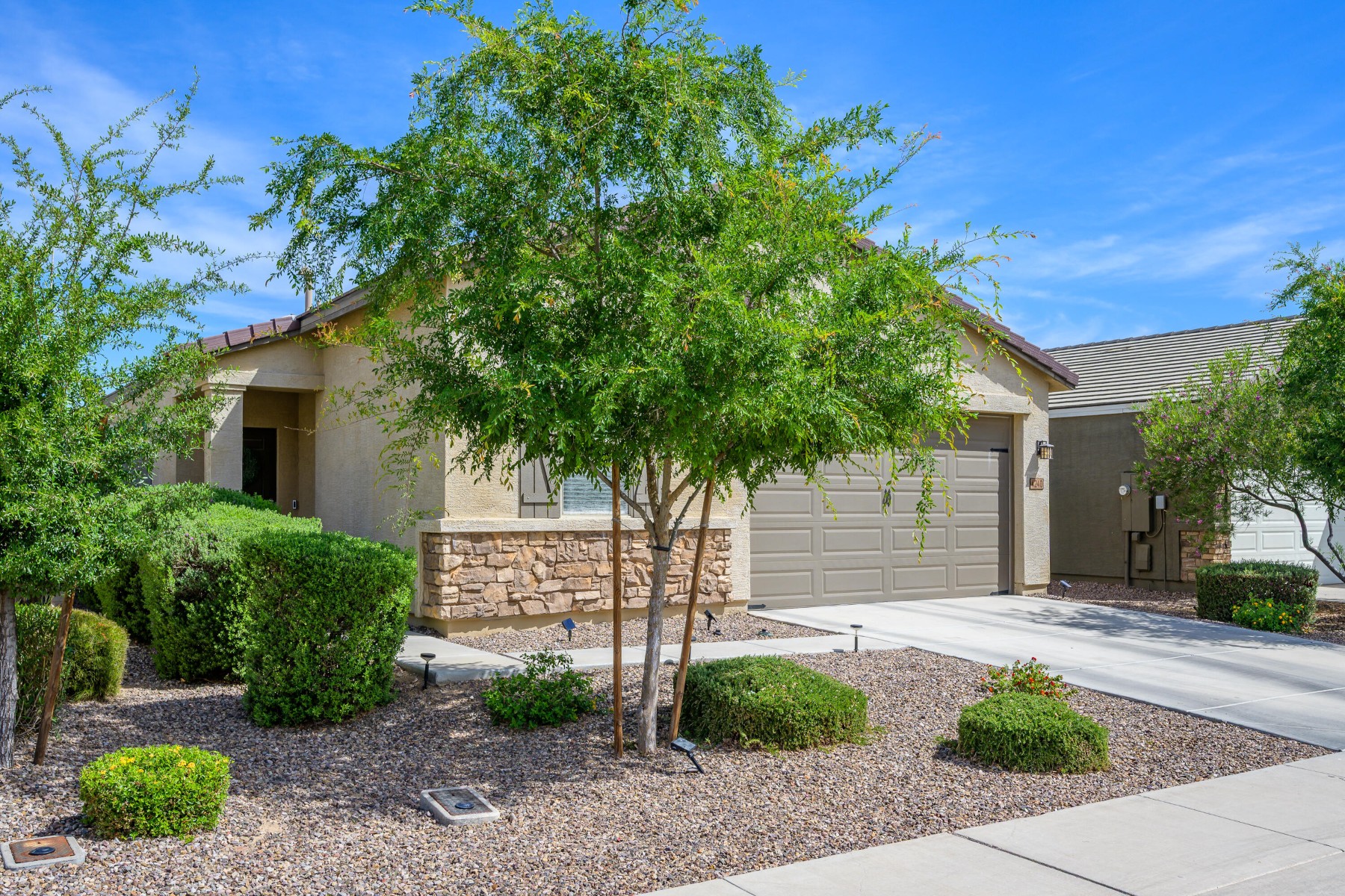 4240 W Coneflower Lane  San Tan Valley, AZ - 物件實景