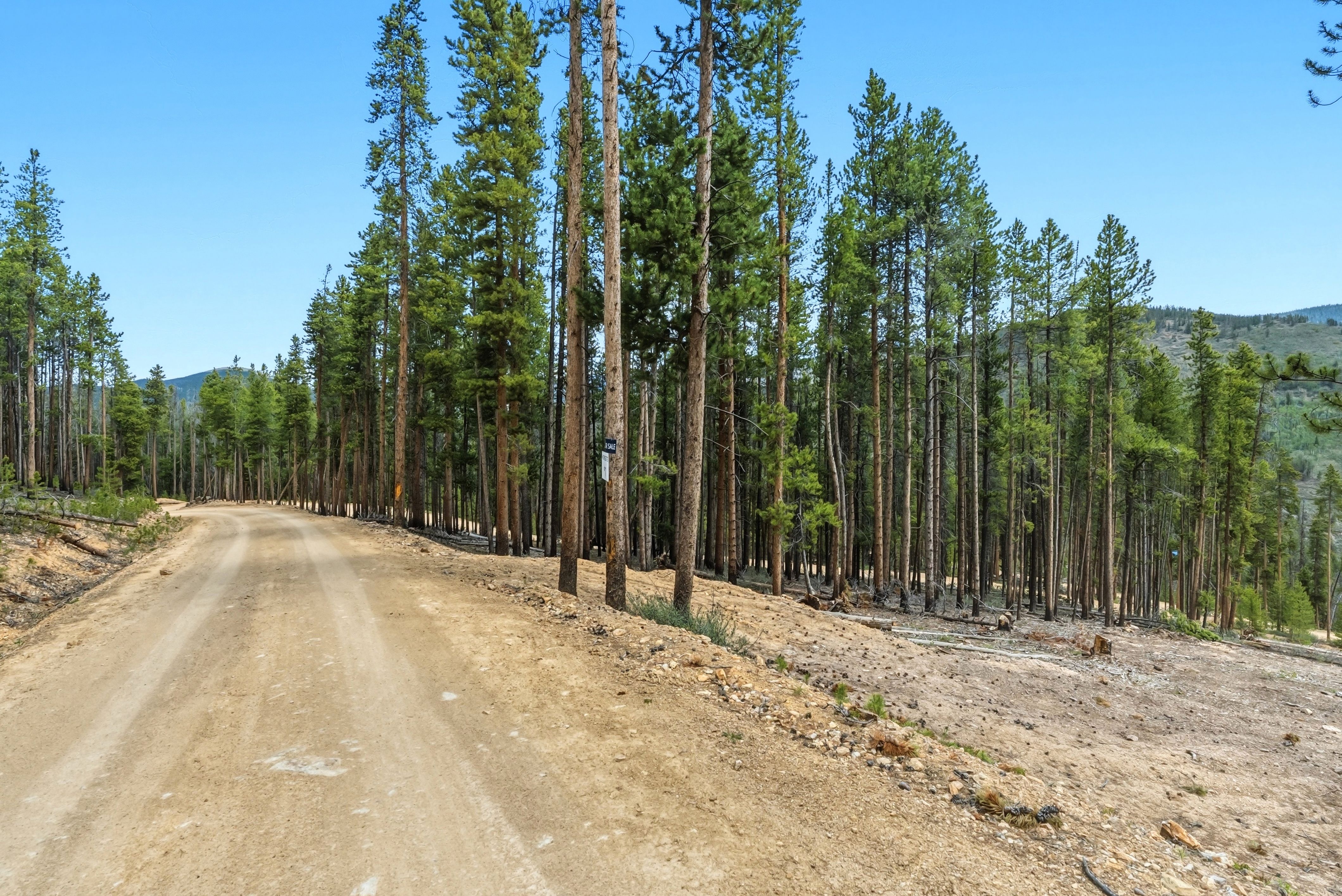  653 Summit Gulch Road, Breckenridge, CO, 80424 - 物件實景