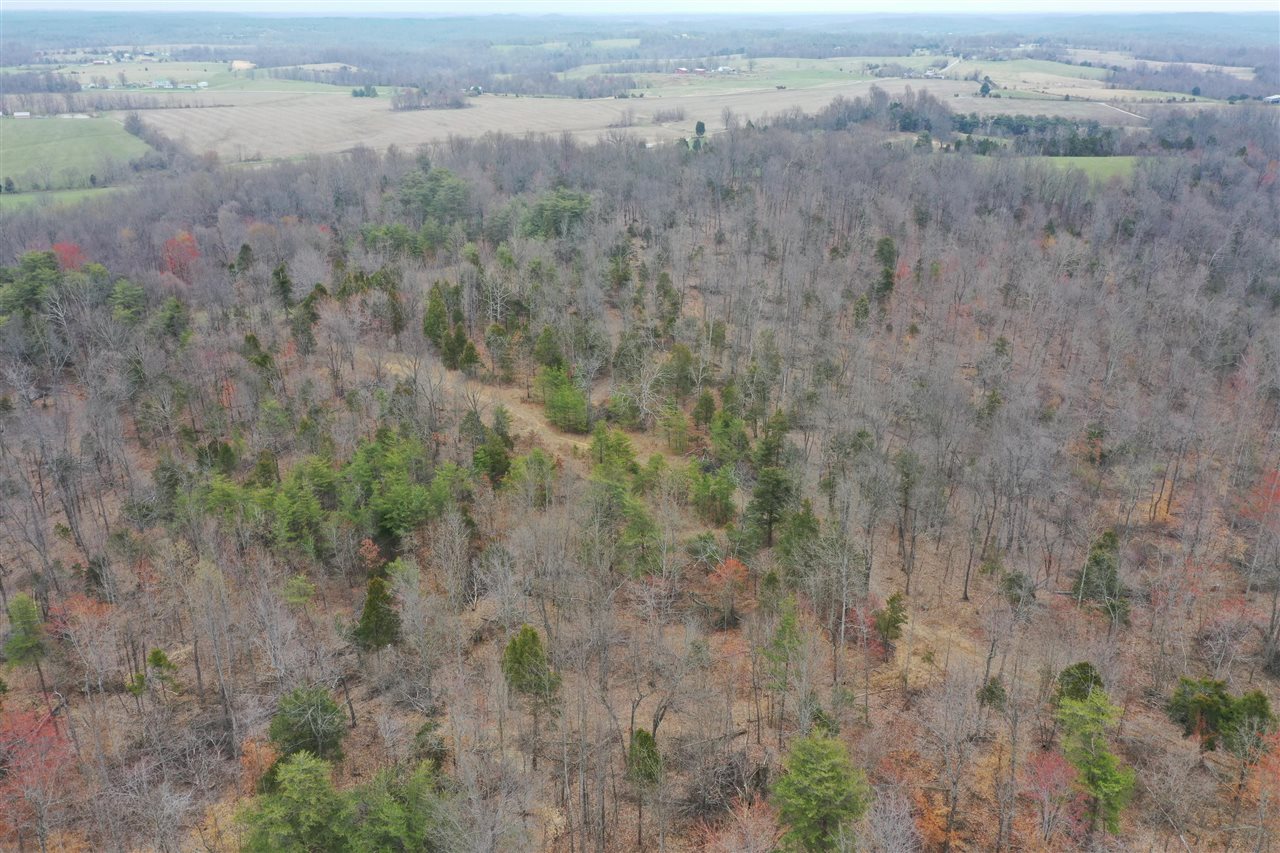 Clarkson, Kentucky, 42726, United States, ,Land,For Sale,1828562