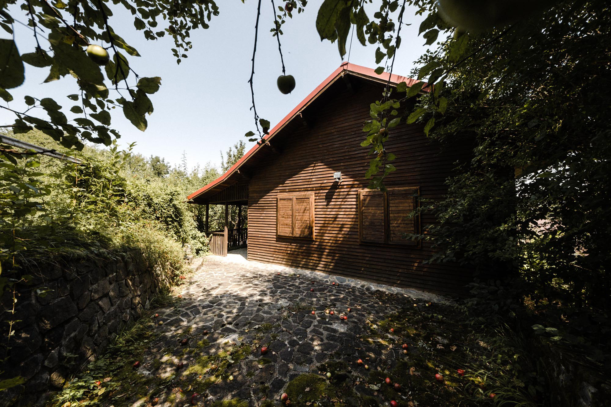  Private Estate of Over 2,500 Sq M at the Edge of the Forest, Breaza - 物件實景