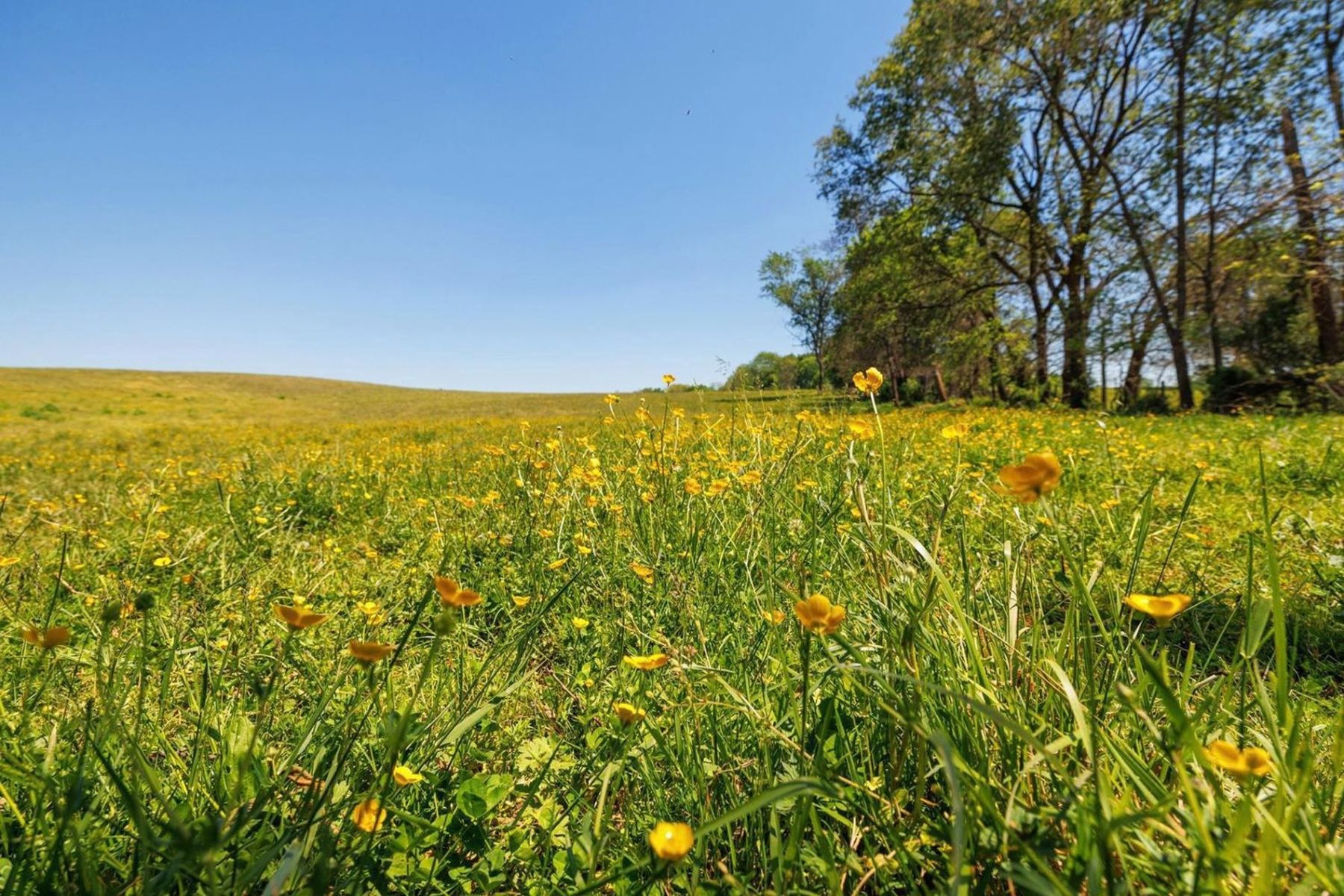  15520 James Monroe Highway, Leesburg, VA, 20176 - 物件實景