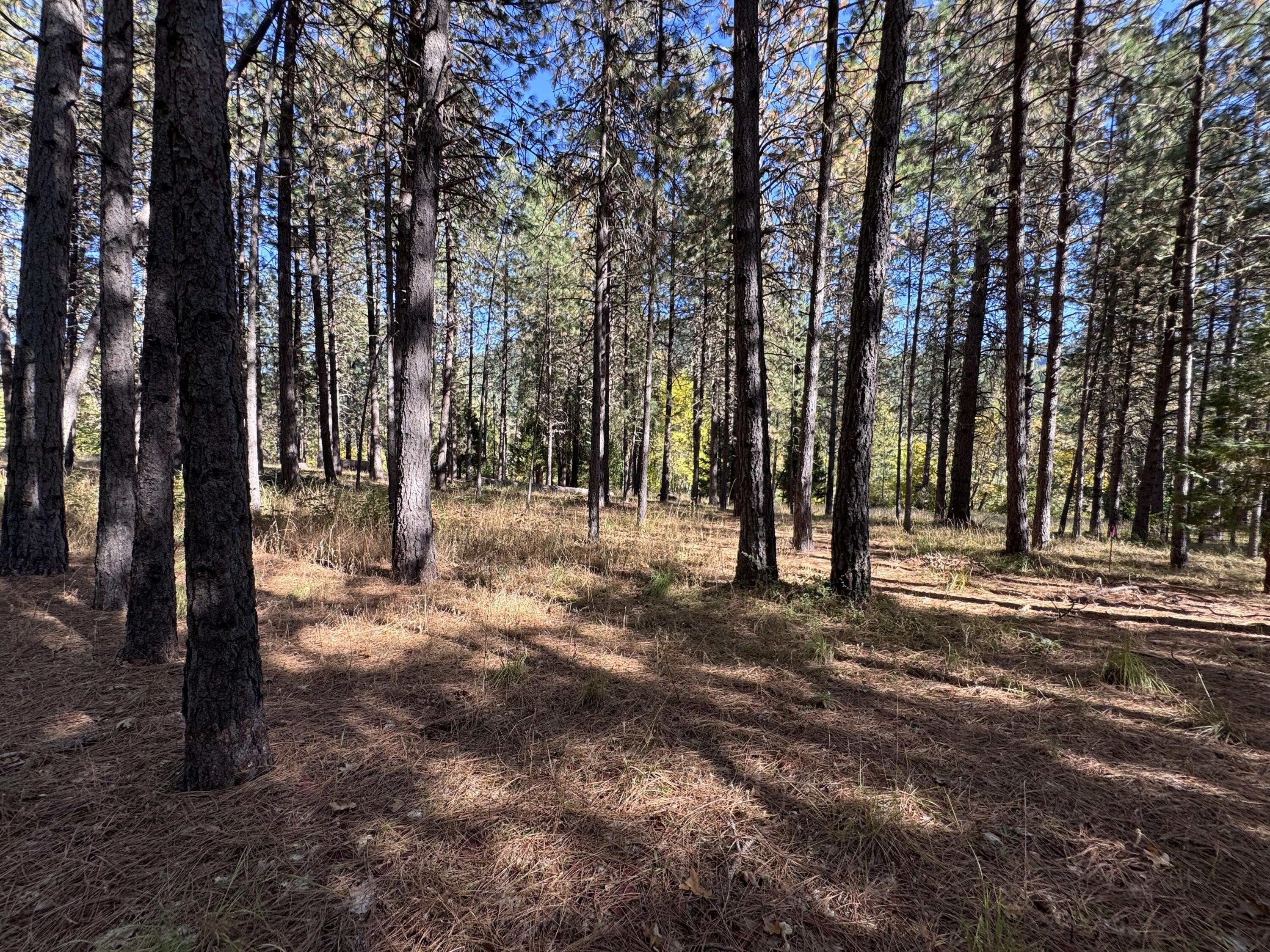 Rogue River, Oregon, 97537, United States, 3 Bedrooms Bedrooms, ,4 BathroomsBathrooms,Residential,For Sale,1982617