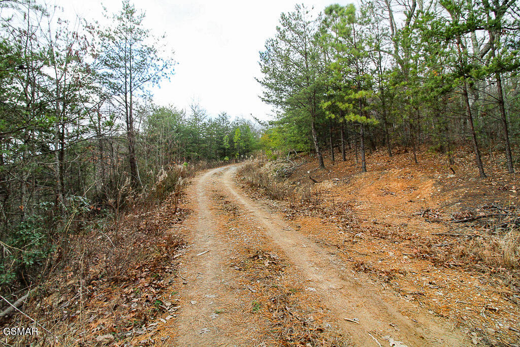 Sevierville, Tennessee, 37876, United States, ,Land,For Sale,2009102