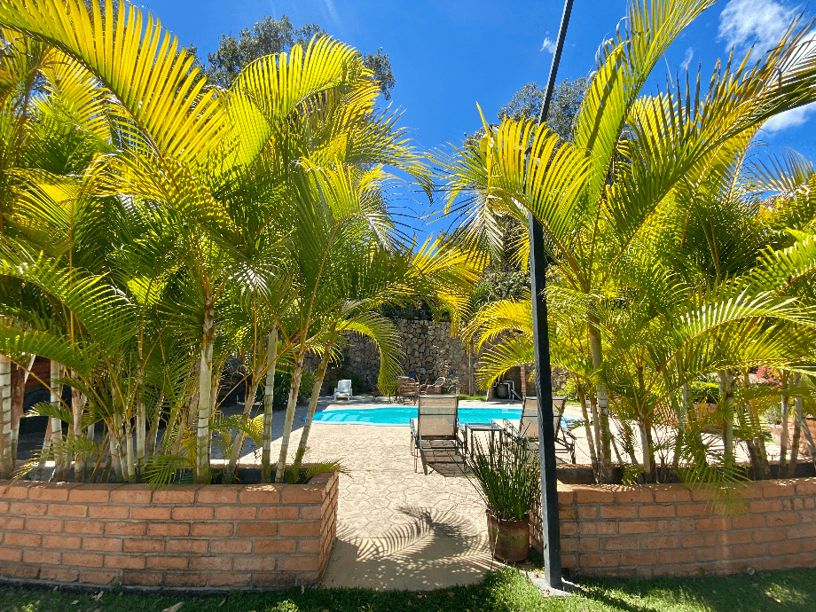 Carr. a Chacala, El Tuito, Jalisco, 48400, Mexico, 1 Bedroom Bedrooms, ,Residential,For Sale,Carr. a Chacala,1425828