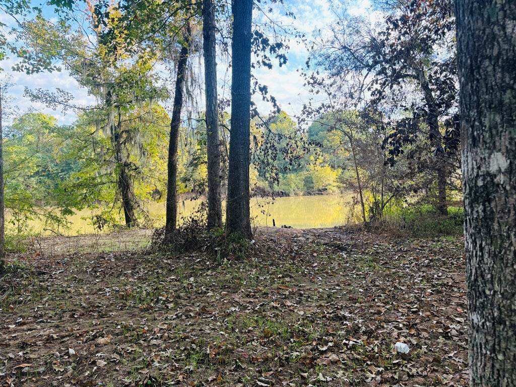 Abbeville, Georgia, 31001, United States, ,Land,For Sale,1975130