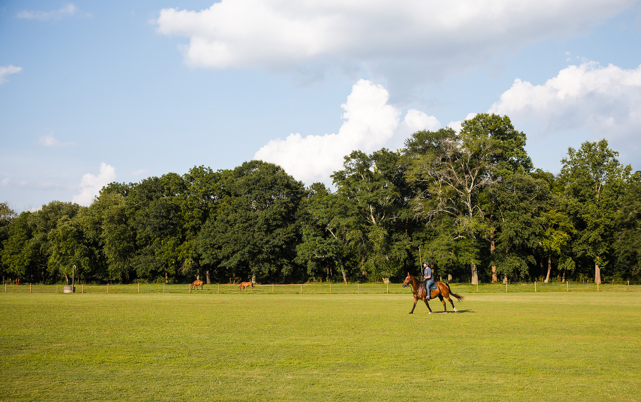  Rare Equestrian Facility with Prestigious Address - 物件實景