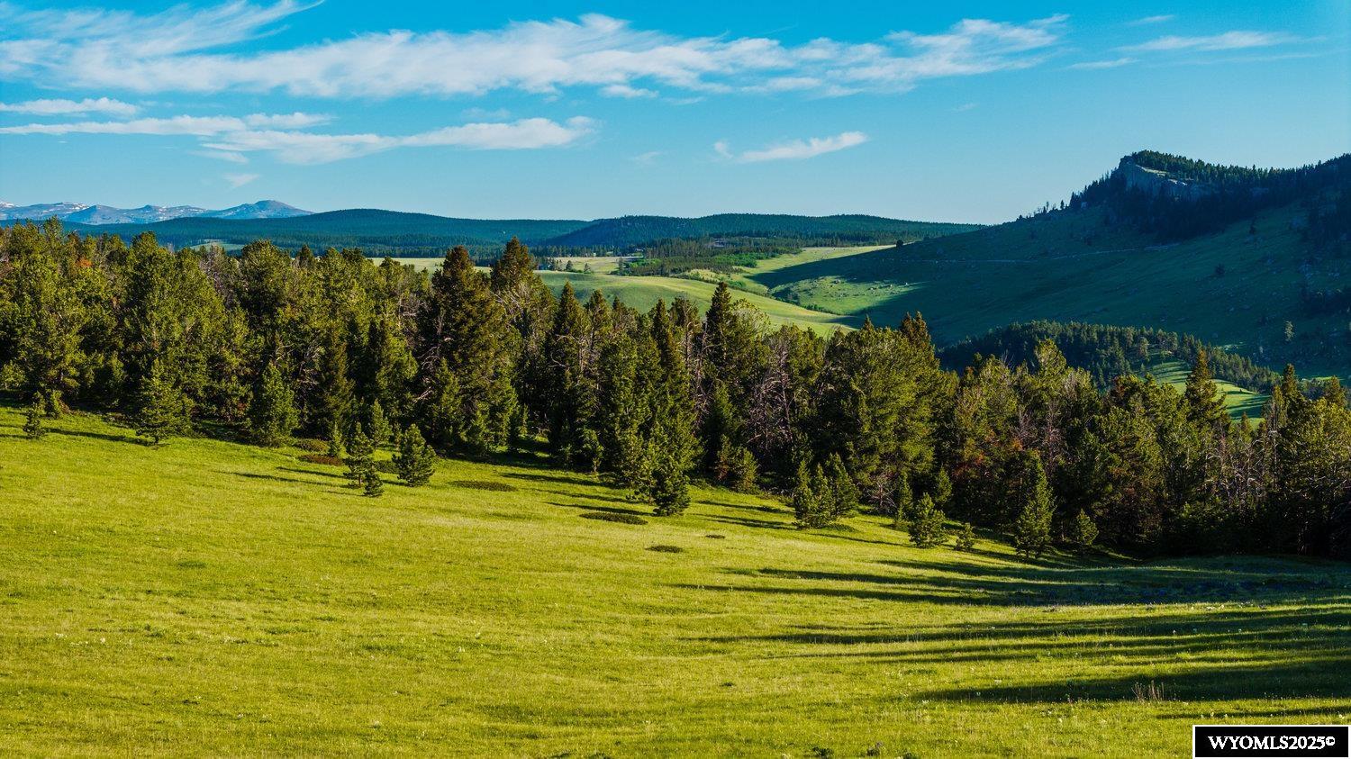 Buffalo, Wyoming, 82834, United States, ,Land,For Sale,1778348