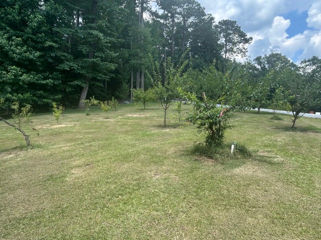Titus, Alabama, 36080, United States, 3 Bedrooms Bedrooms, ,2 BathroomsBathrooms,Residential,For Sale,1920844