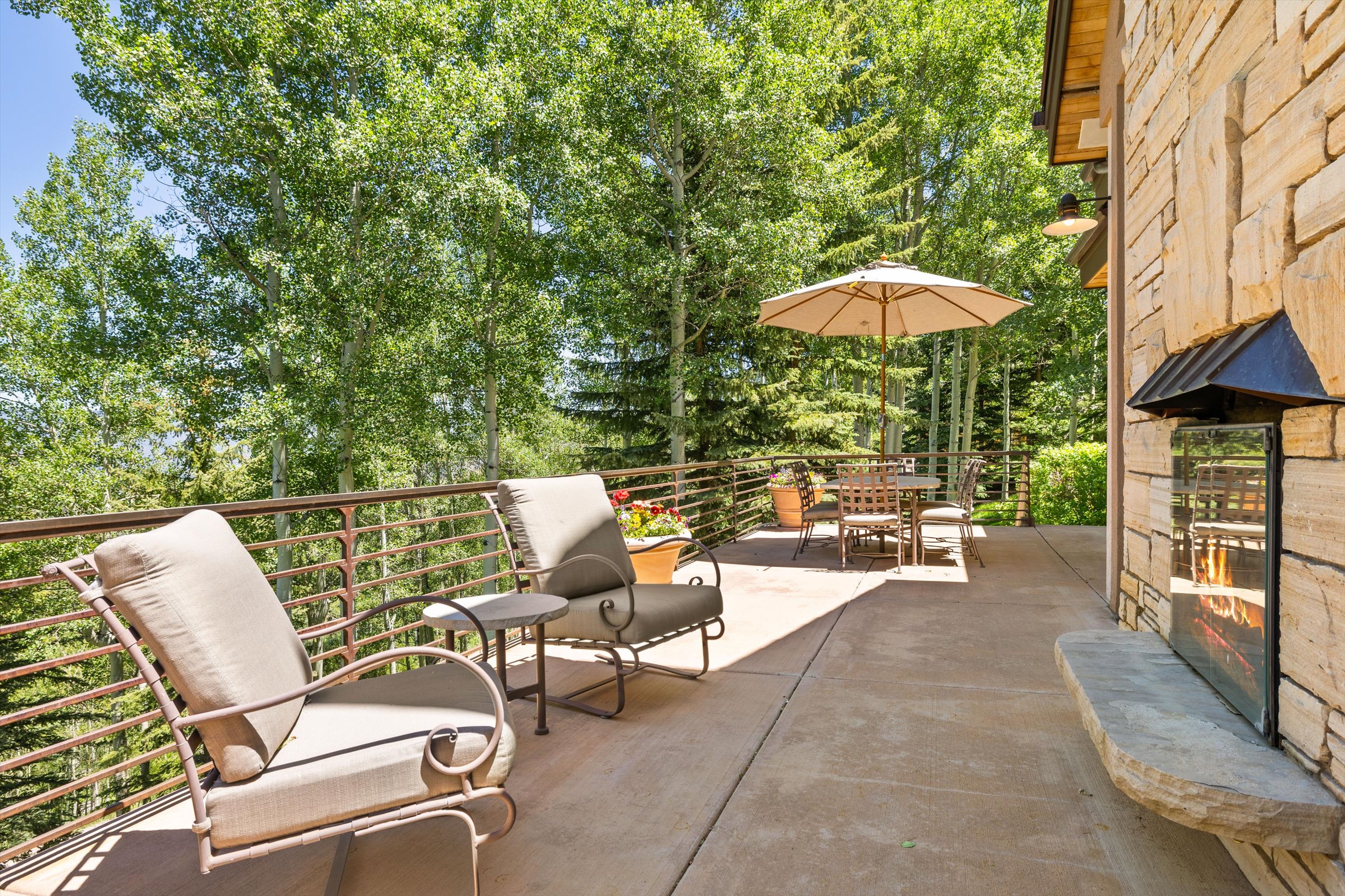  142 Aspen Way, Snowmass Village, CO, 81615 - 物件實景