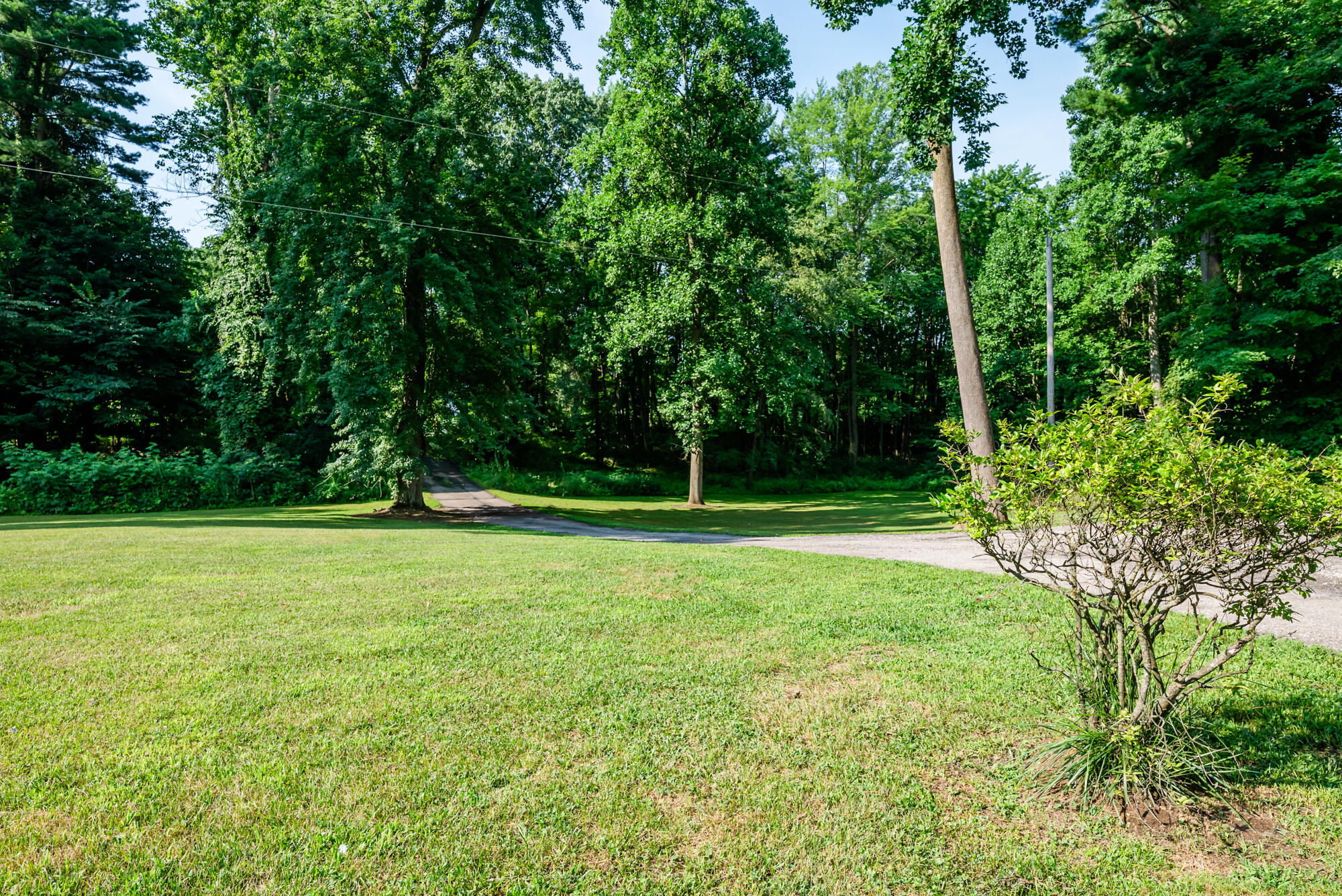 Buchanan, Michigan, 49107, United States, 5 Bedrooms Bedrooms, ,3 BathroomsBathrooms,Residential,For Sale,1974856