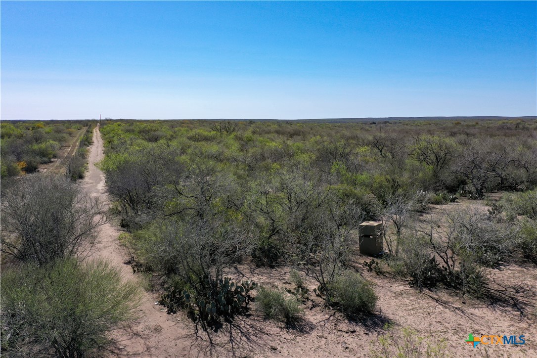 George West, Texas, 78022, United States, ,Land,For Sale,1738703