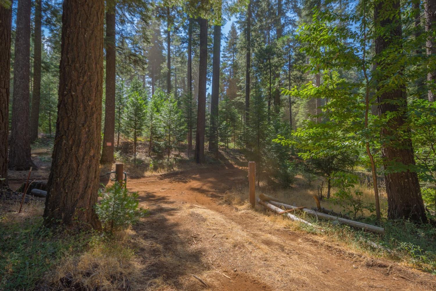 Pollock Pines, California, 95726, United States, ,Residential,For Sale,1982906