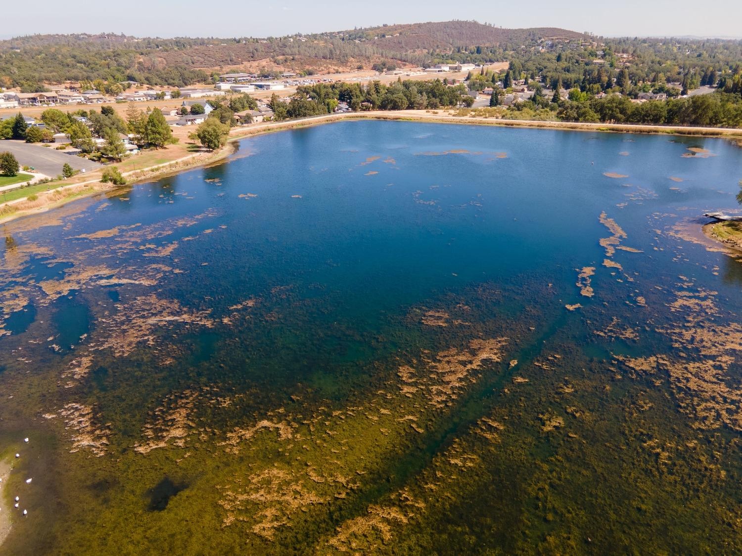 3705 Chelsea Road, Cameron Park, California, 95682, United States, 3 Bedrooms Bedrooms, ,2 BathroomsBathrooms,Residential,For Sale,3705 Chelsea Road,1627321