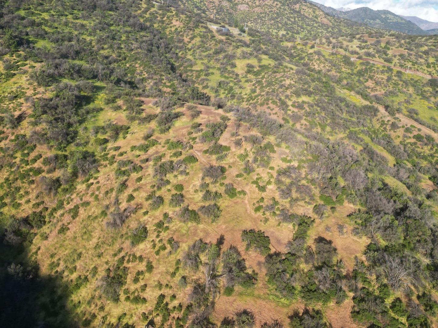 Lo Barnechea, Chile, ,Land,For Sale,1926302