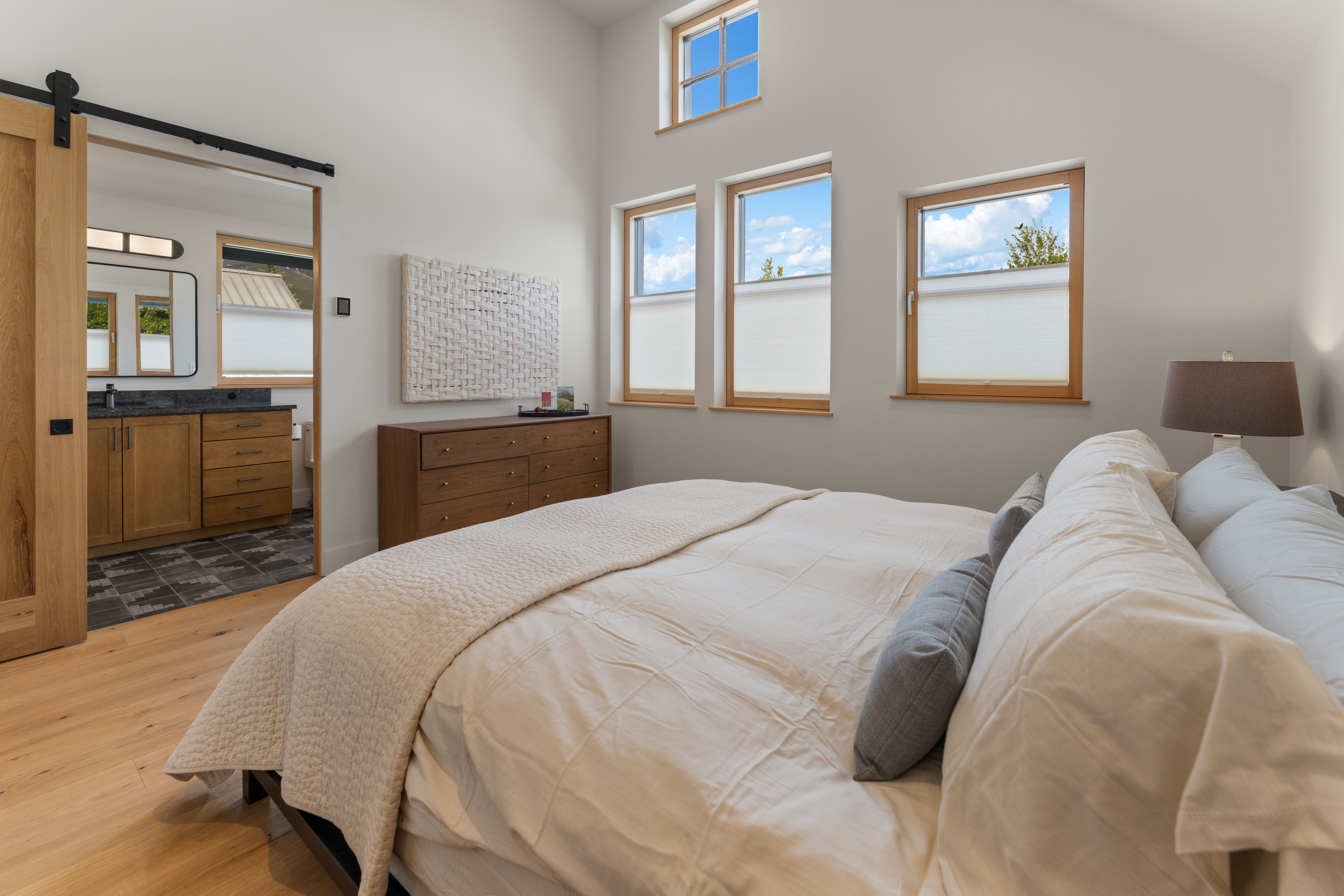  Cutting Edge Sustainable Construction with ADU in Crested Butte - 物件實景