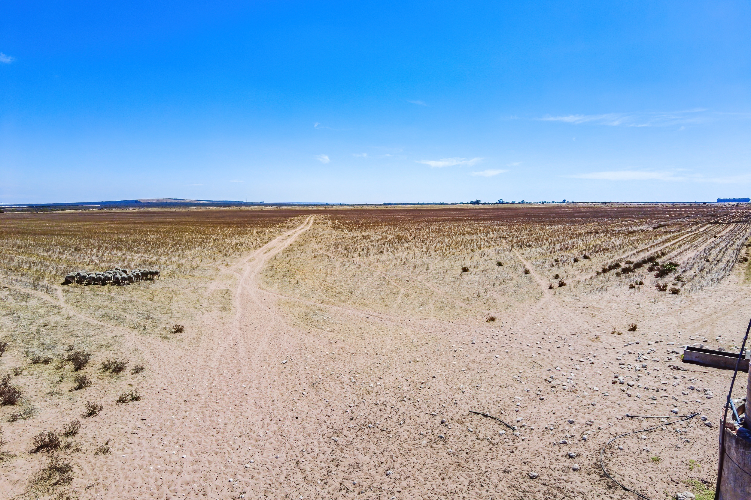  81/4 Brakfontein farm - 物件實景