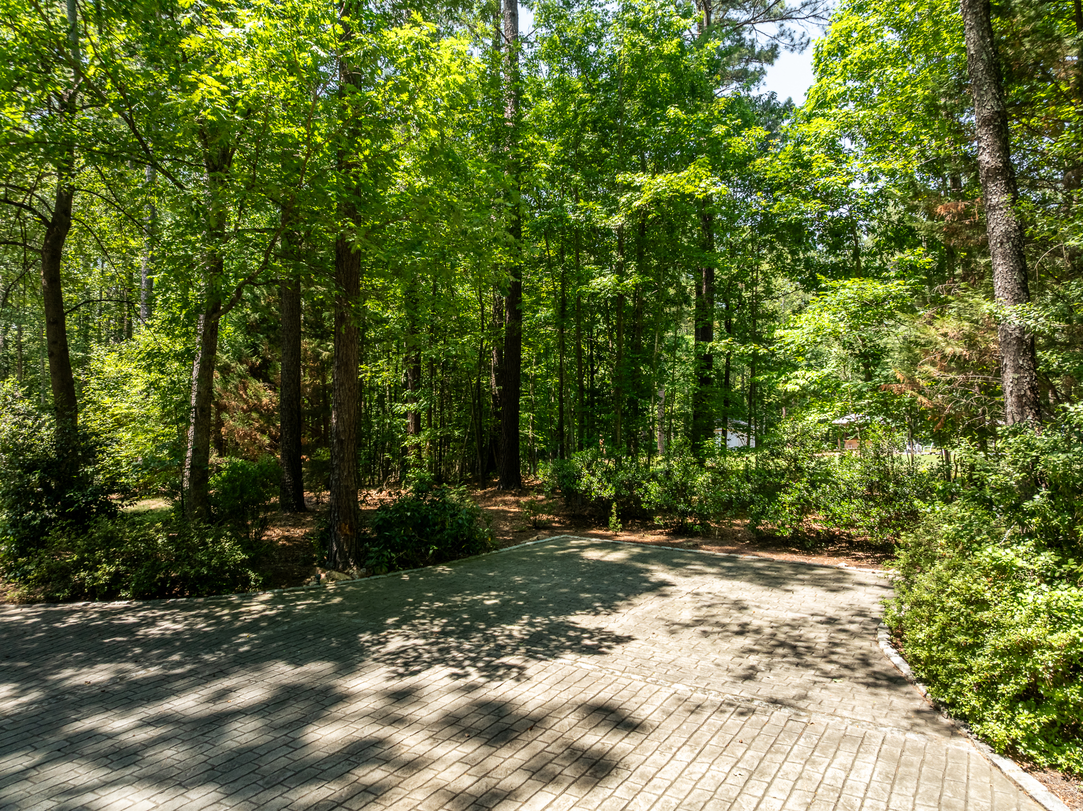  3124 Rock Cress Lane, Sandy Hook, VA 23153 - 物件實景