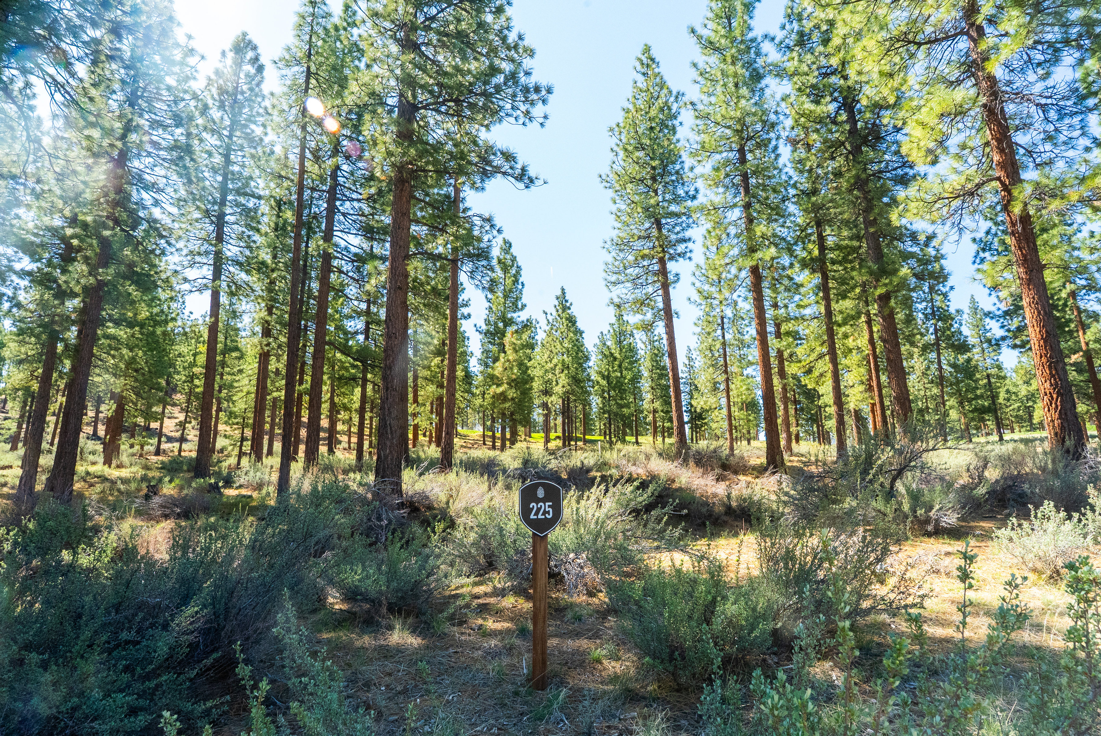  Two Extraordinary Pieces of Land in Clear Creek Tahoe - 物件實景