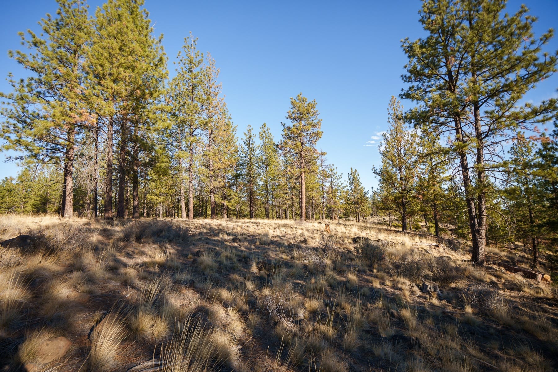 19151 Horizon View Drive Bend, OR 97703 - 物件實景