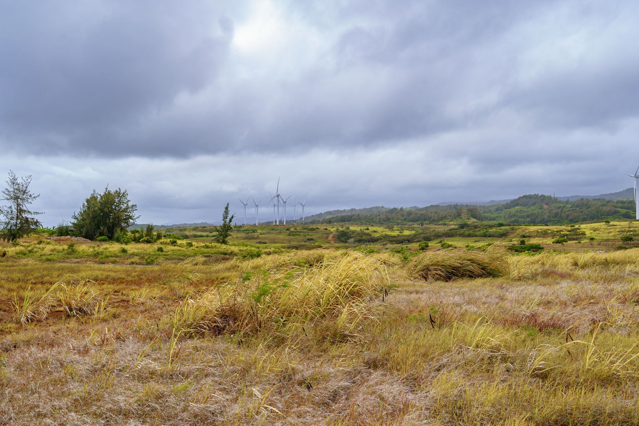 Kahuku, Hawaii, 96731, United States, ,Land,For Sale,2007887