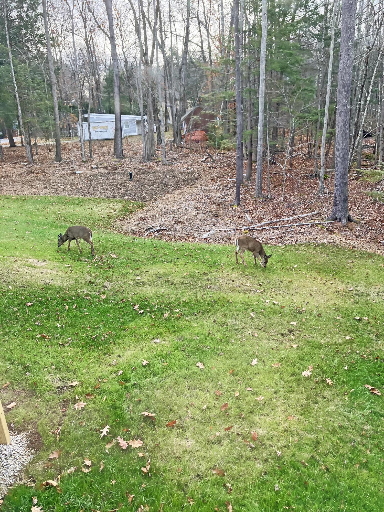 Windham, Maine, 04062, United States, 3 Bedrooms Bedrooms, ,3 BathroomsBathrooms,Residential,For Sale,2002163