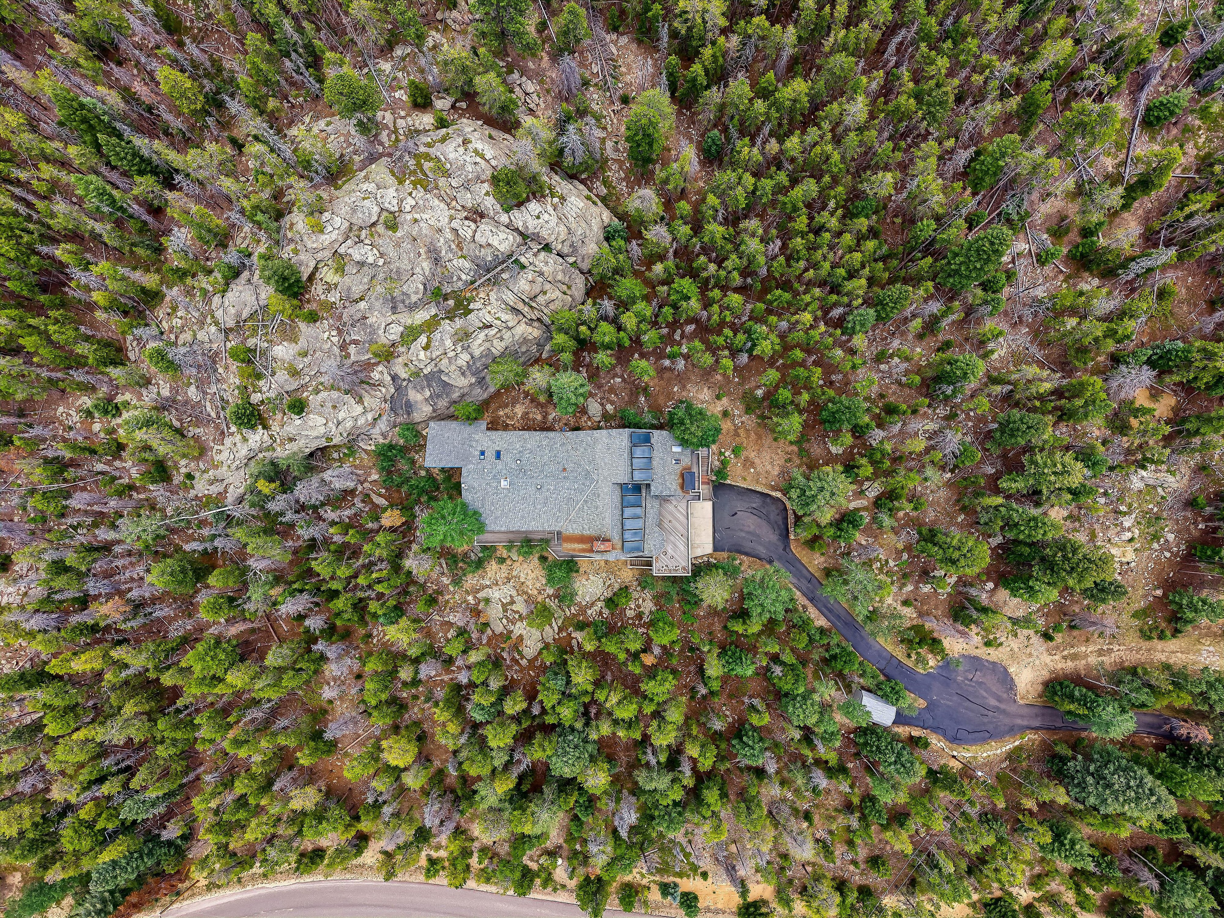  Colorado Mountain Living on 5.29 Wood/Sloping Acres - 物件實景