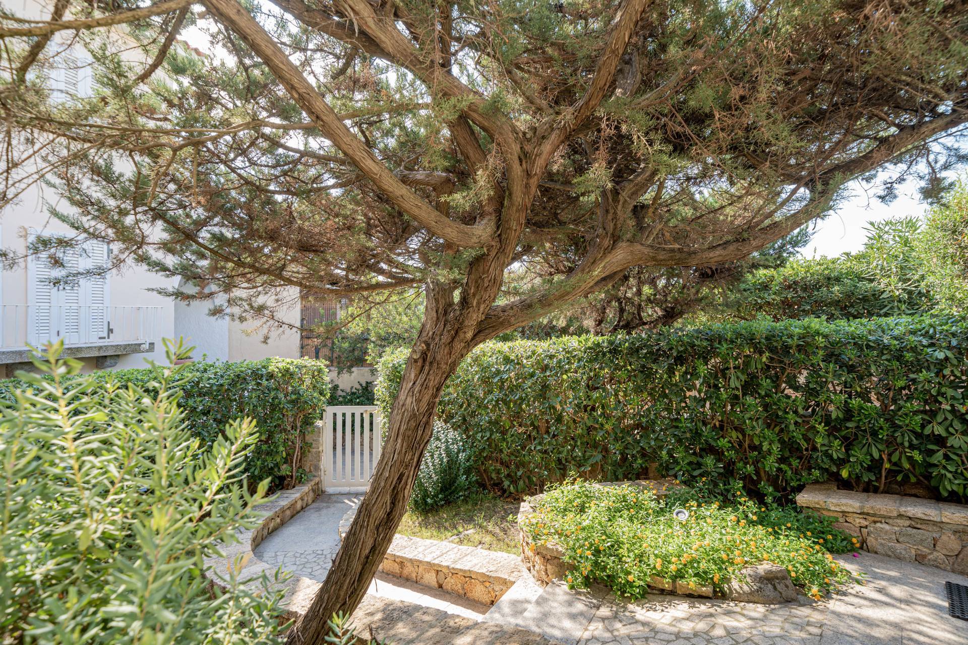 Porto Rotondo, Olbia, Sassari, IT, 3 Bedrooms Bedrooms, ,4 BathroomsBathrooms,Residential,For Sale,Porto Rotondo,1627751