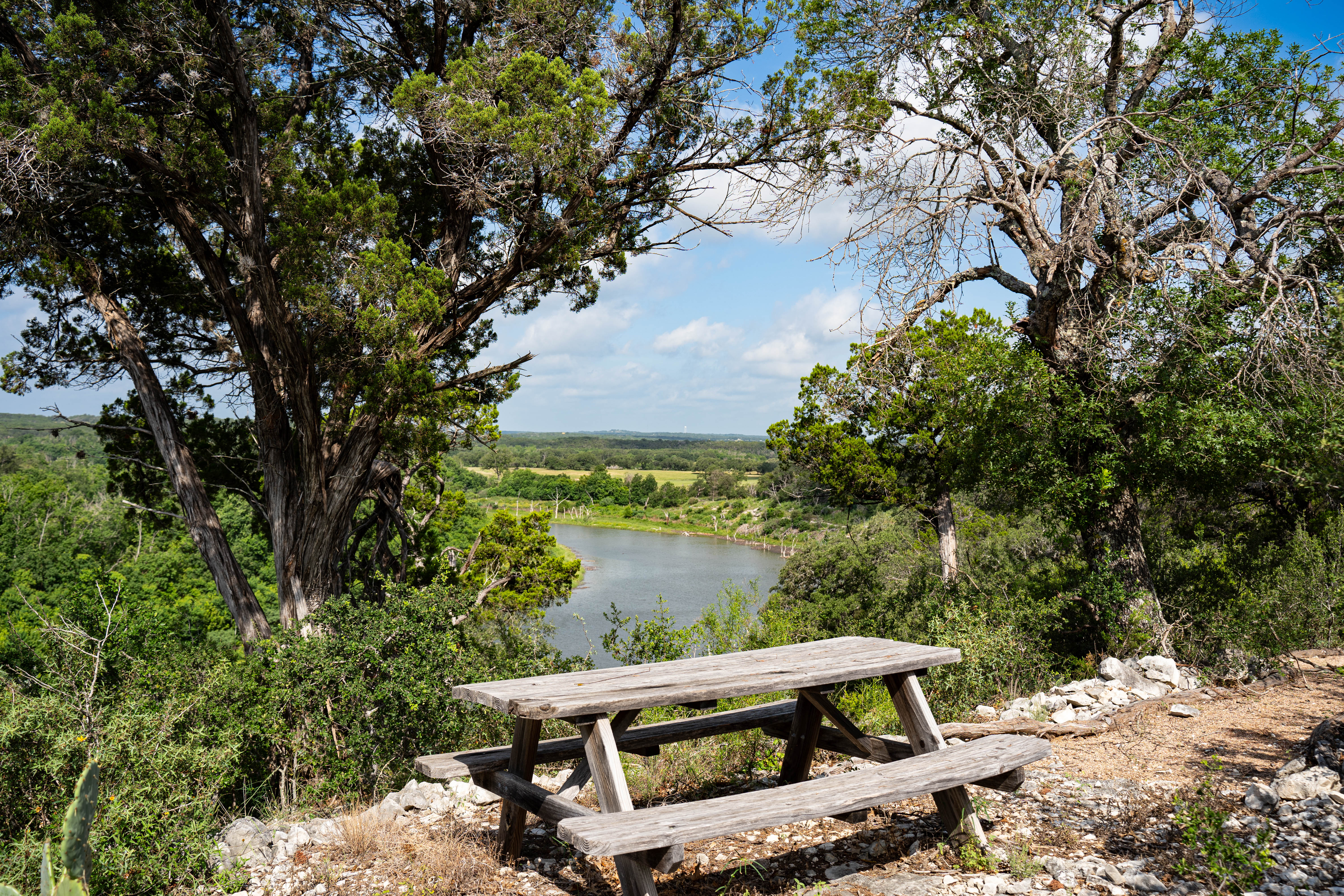  Refined Hill Country Living on the Guadalupe - 物件實景
