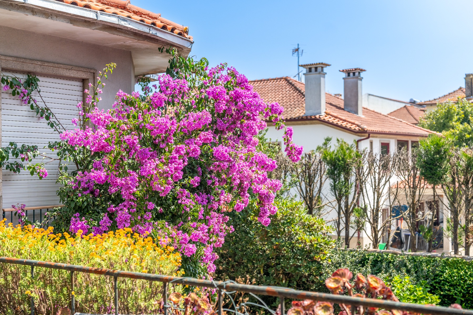  Detached house, 5 bedrooms, for Sale - 物件實景