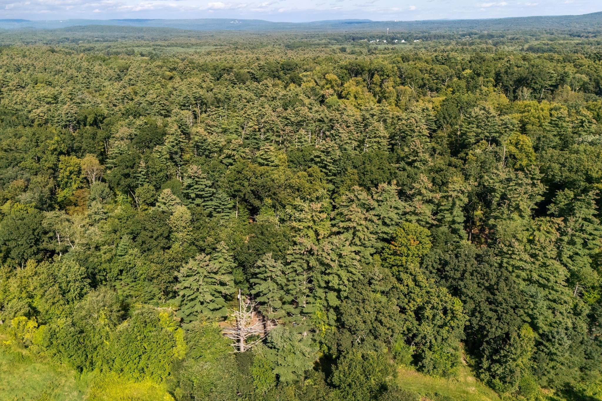 Porter St, Granby, MA 01033